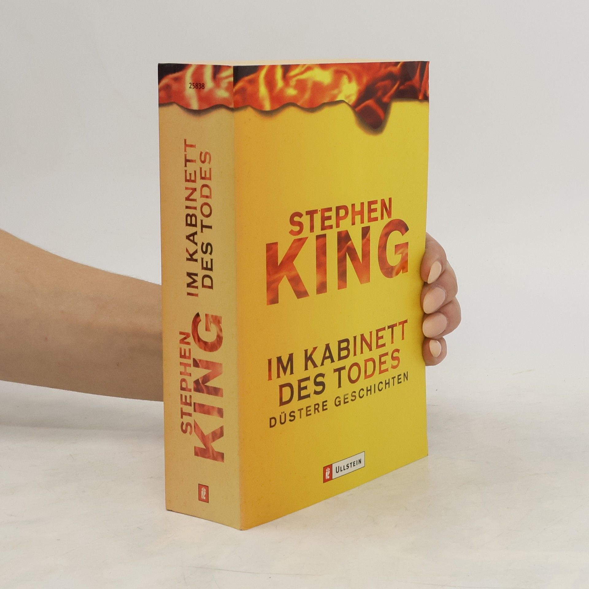 Stephen King Im Kabinett des Todes