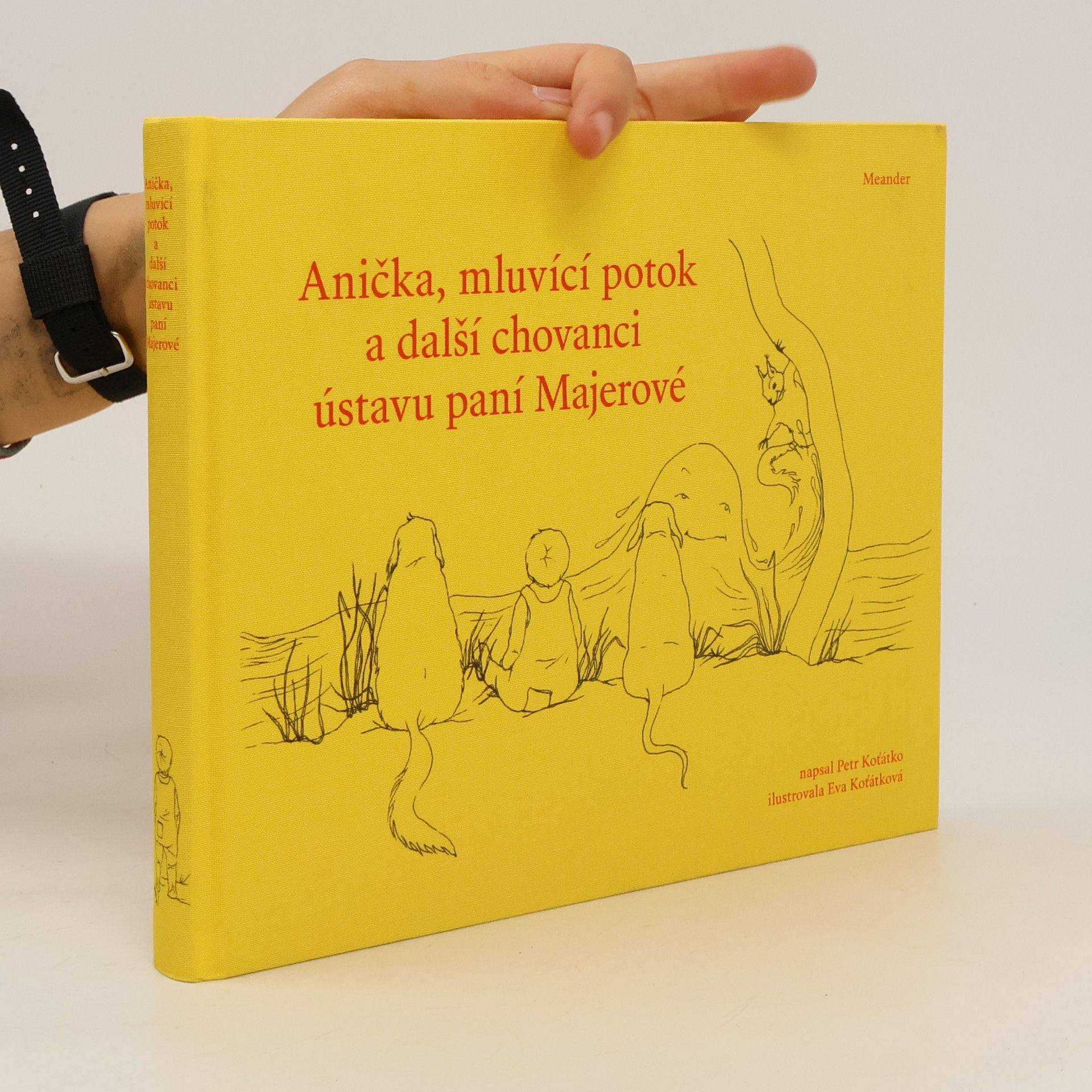 Petr Koťátko Anička, mluvící potok a další chovanci ústavu paní Majerové
