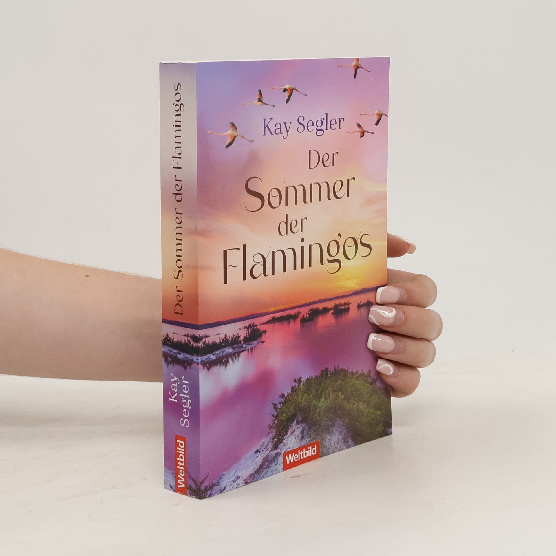 Kay Segler Der Sommer der Flamingos