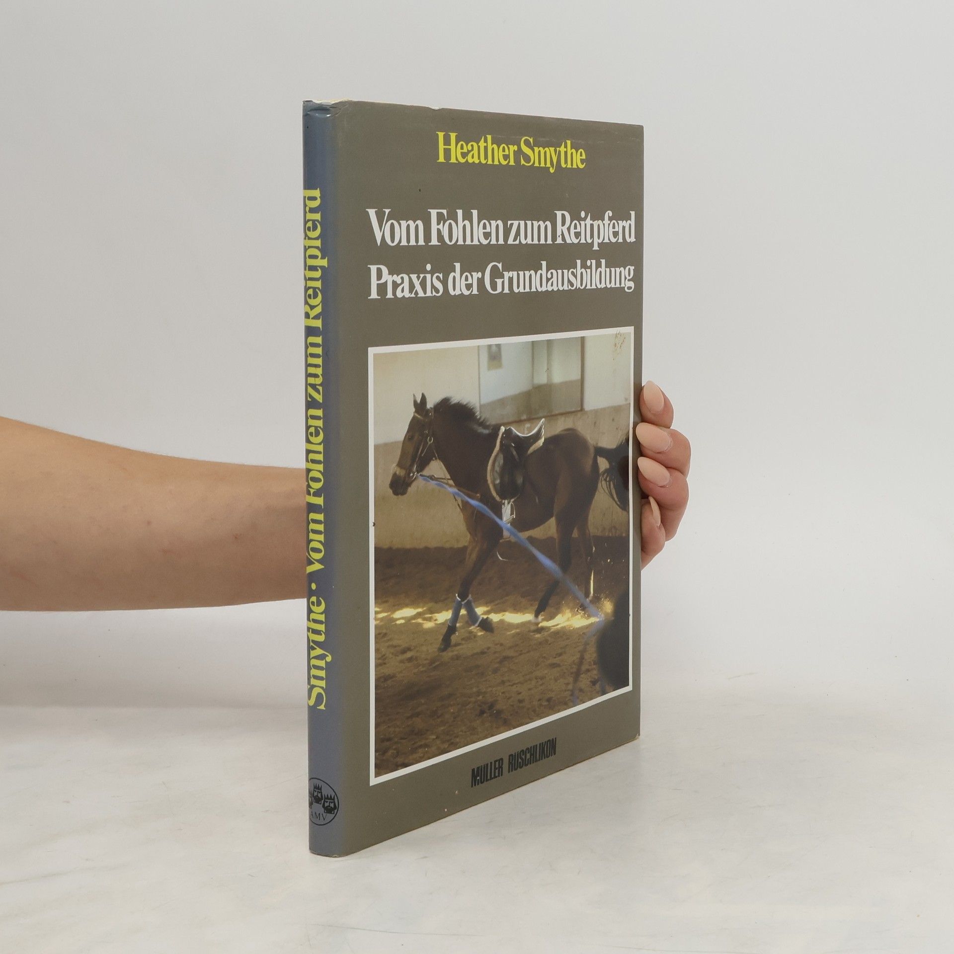 Heather Smythe Vom Fohlen zum Reitpferd