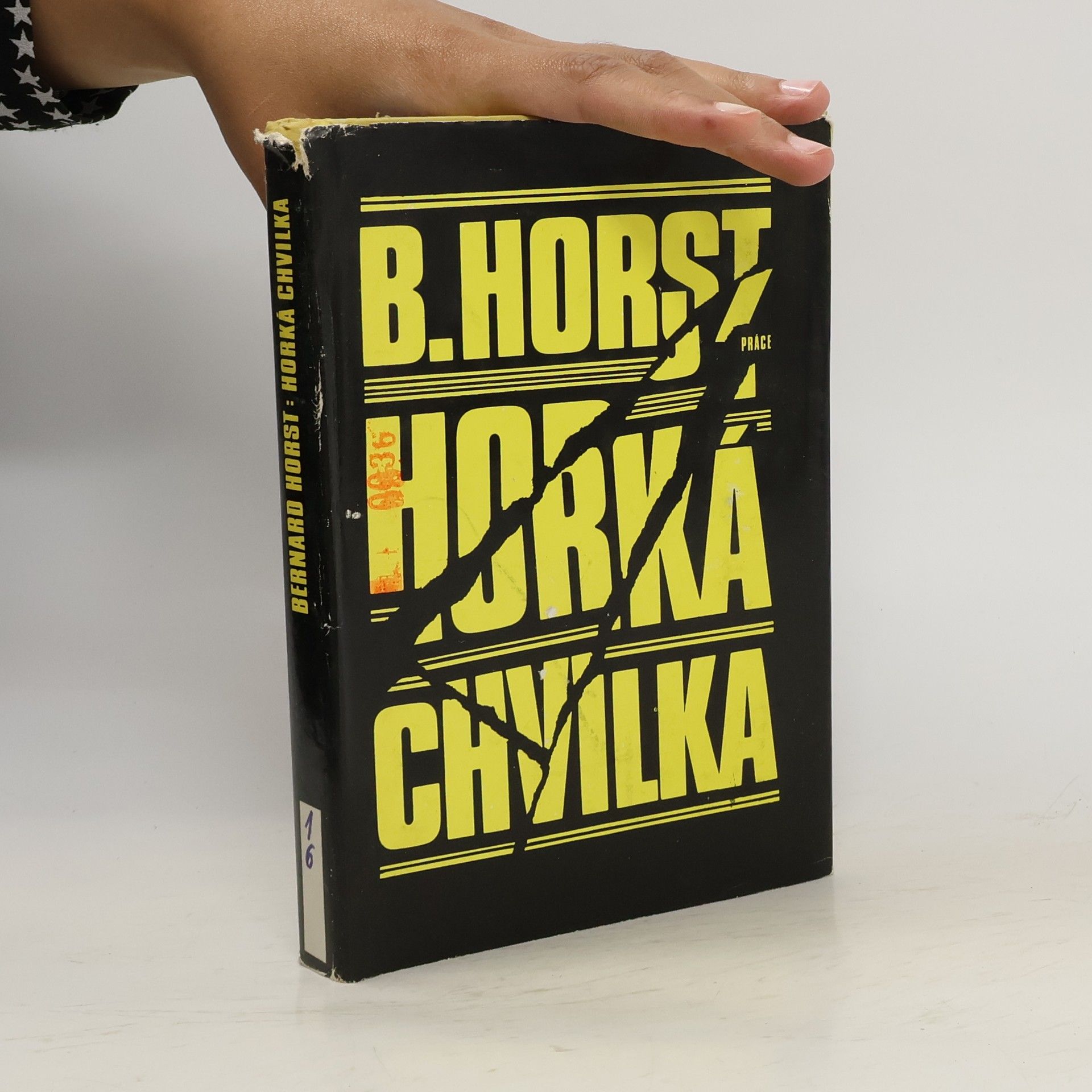 Bernard Horst Horká chvilka: Povídky