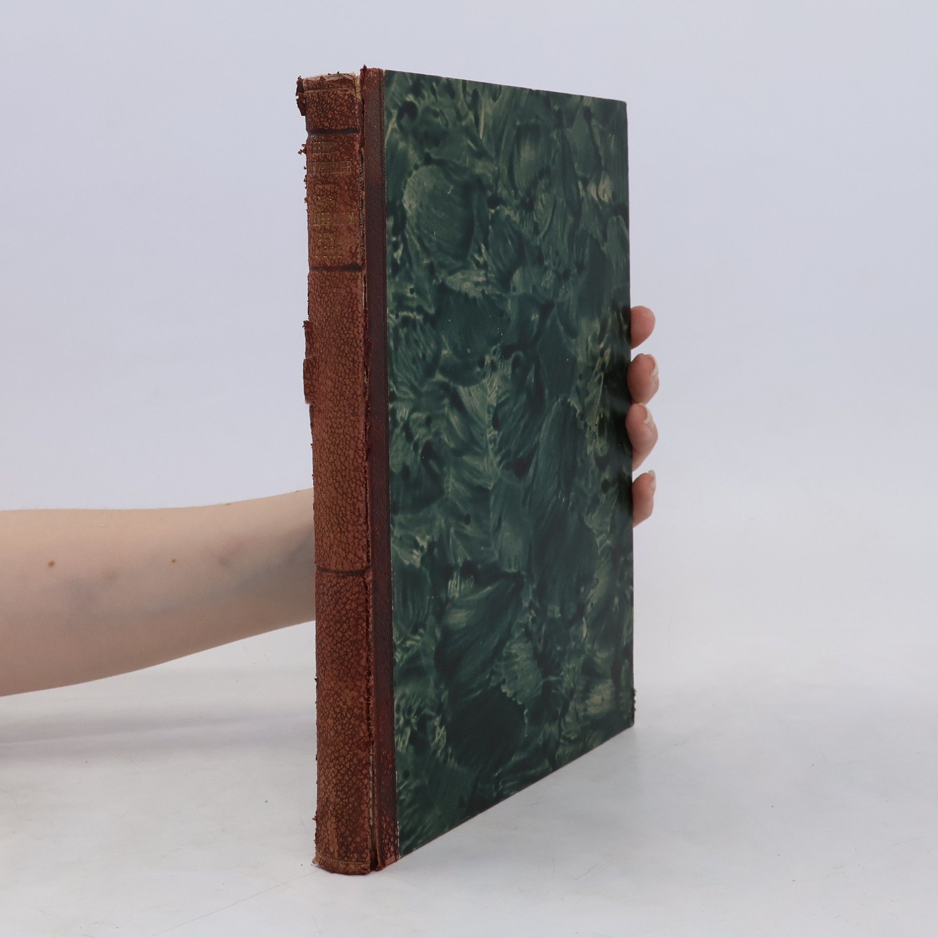 Heinz Nonveiller Das Evangelium der Liebe