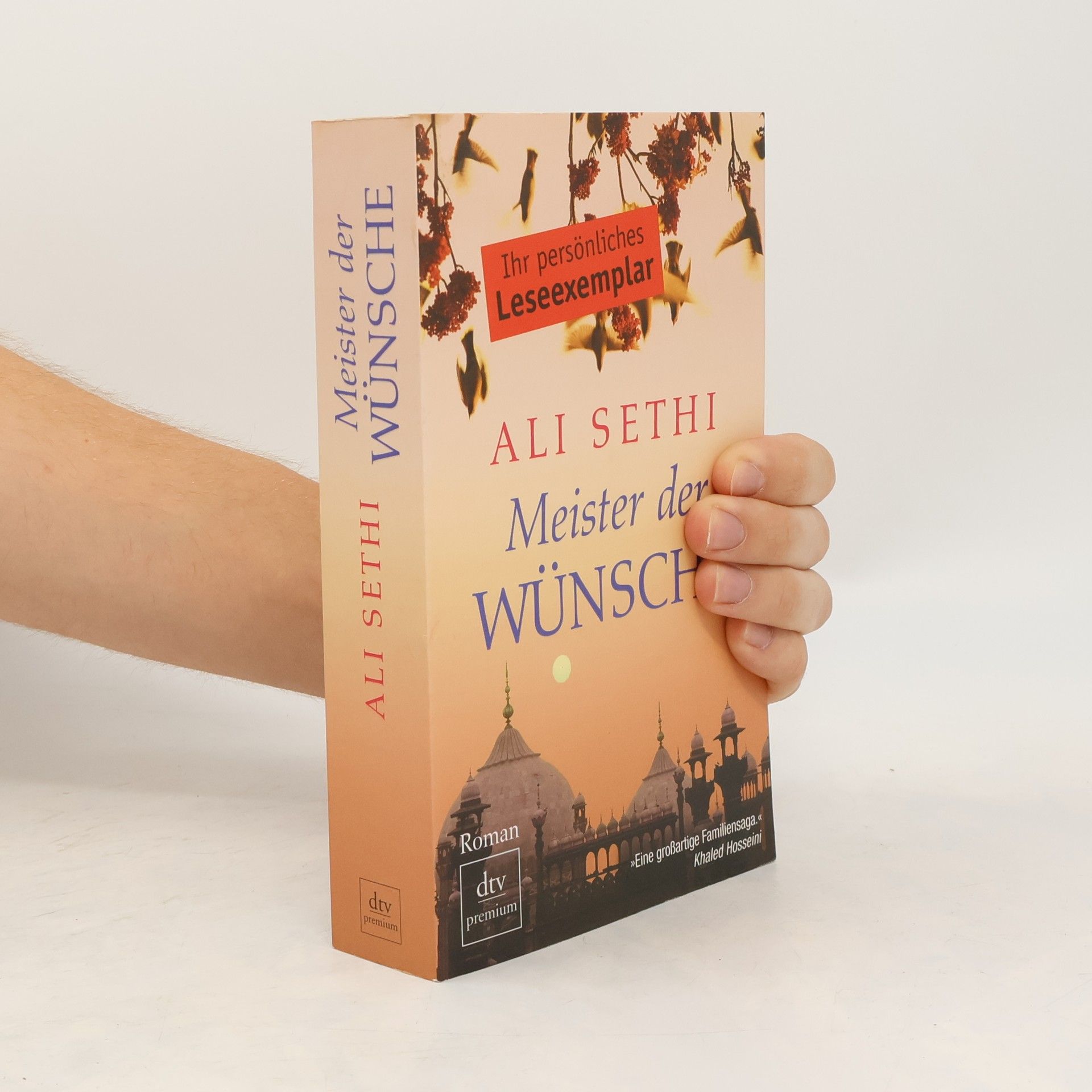 Ali Sethi Meister der Wünsche