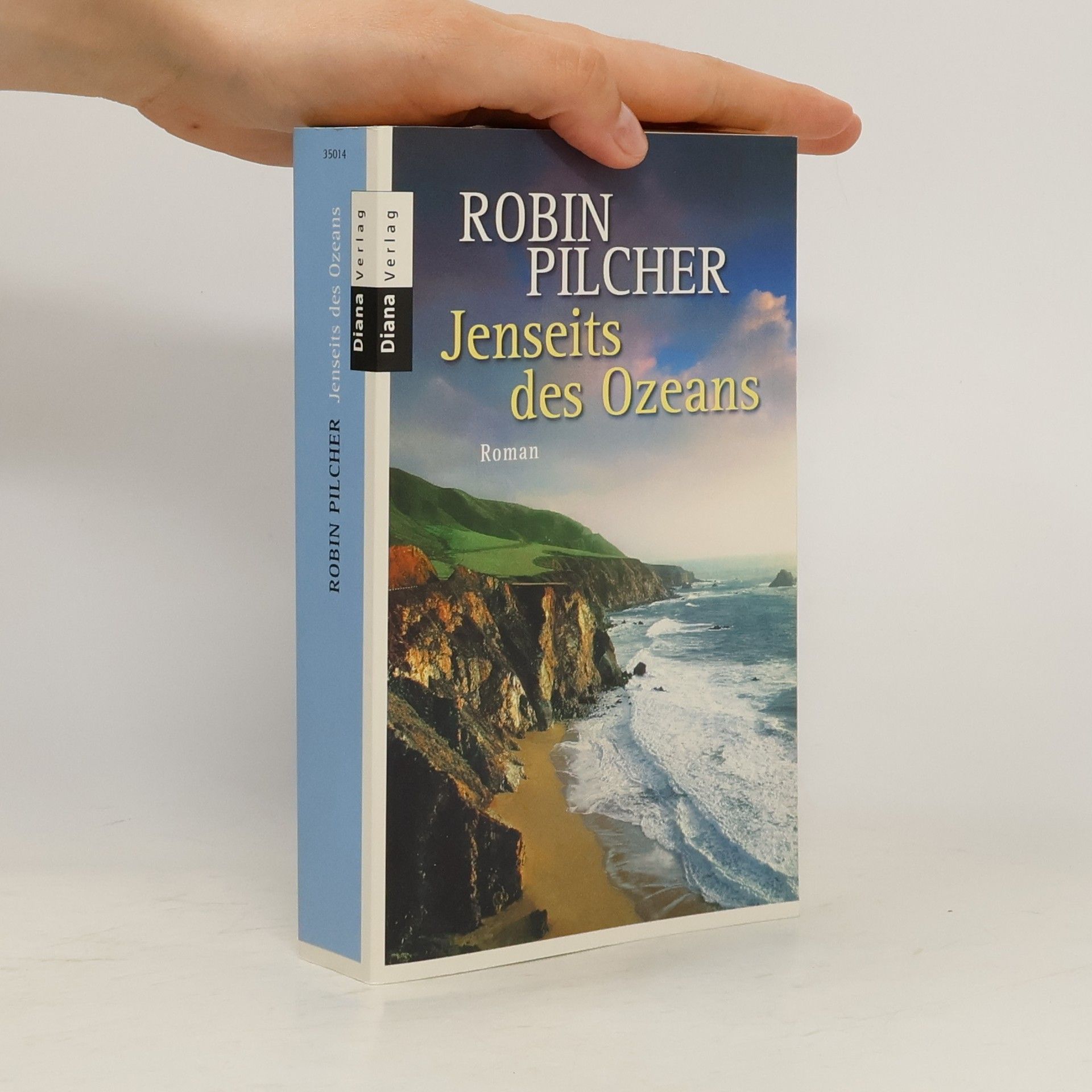 Robin Pilcher Jenseits des Ozeans