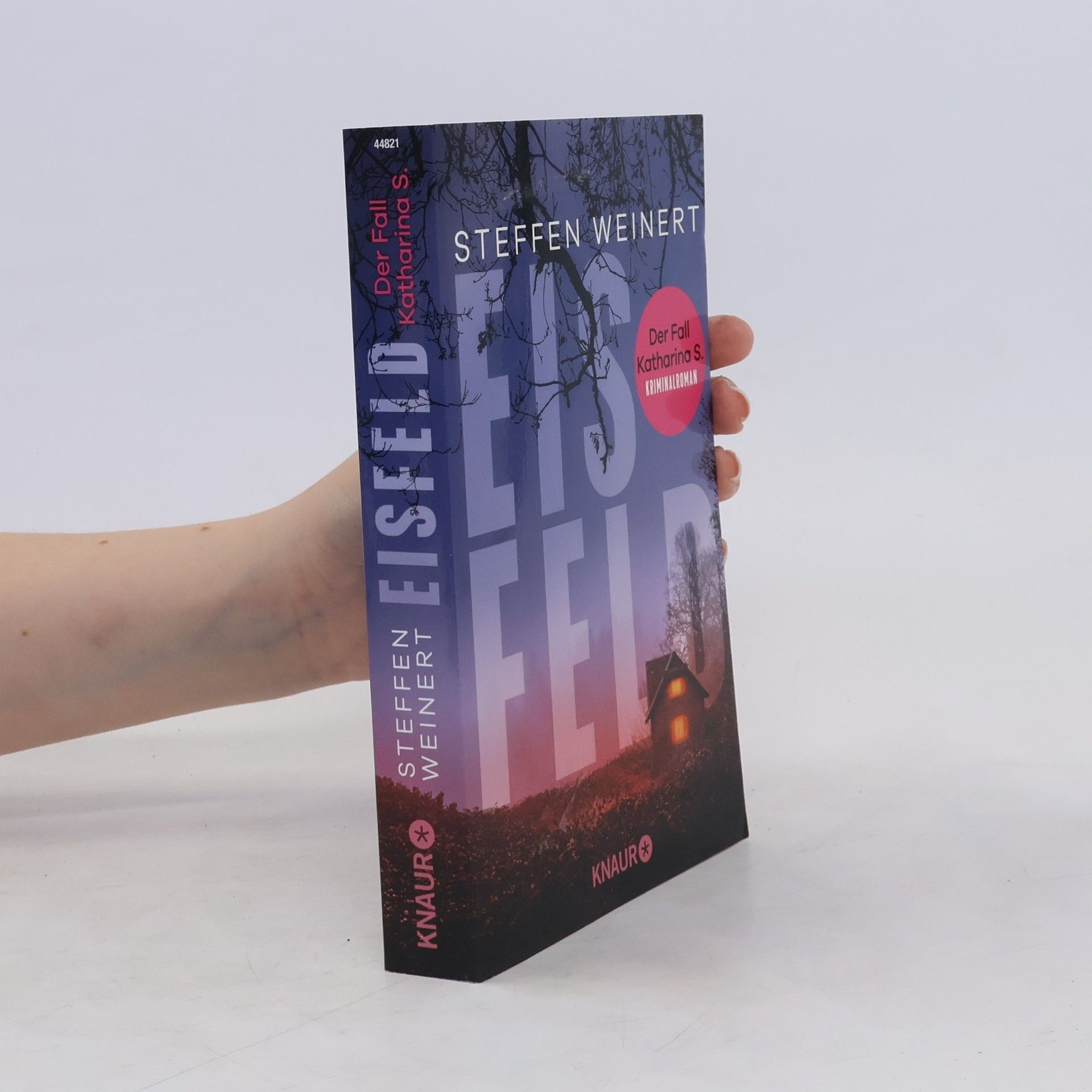 Steffen Weinert Eisfeld - Der Fall Katharina S.. Kriminalroman | Auftakt der hochspannenden, neuen Krimi-Reihe aus Berlin um eine totgeglaubte Frau und einen Wettlauf gegen die Zeit.