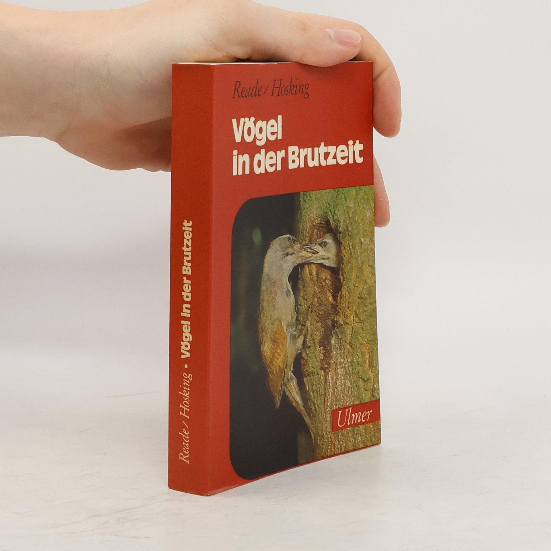 William Winwood Reade Vögel in der Brutzeit