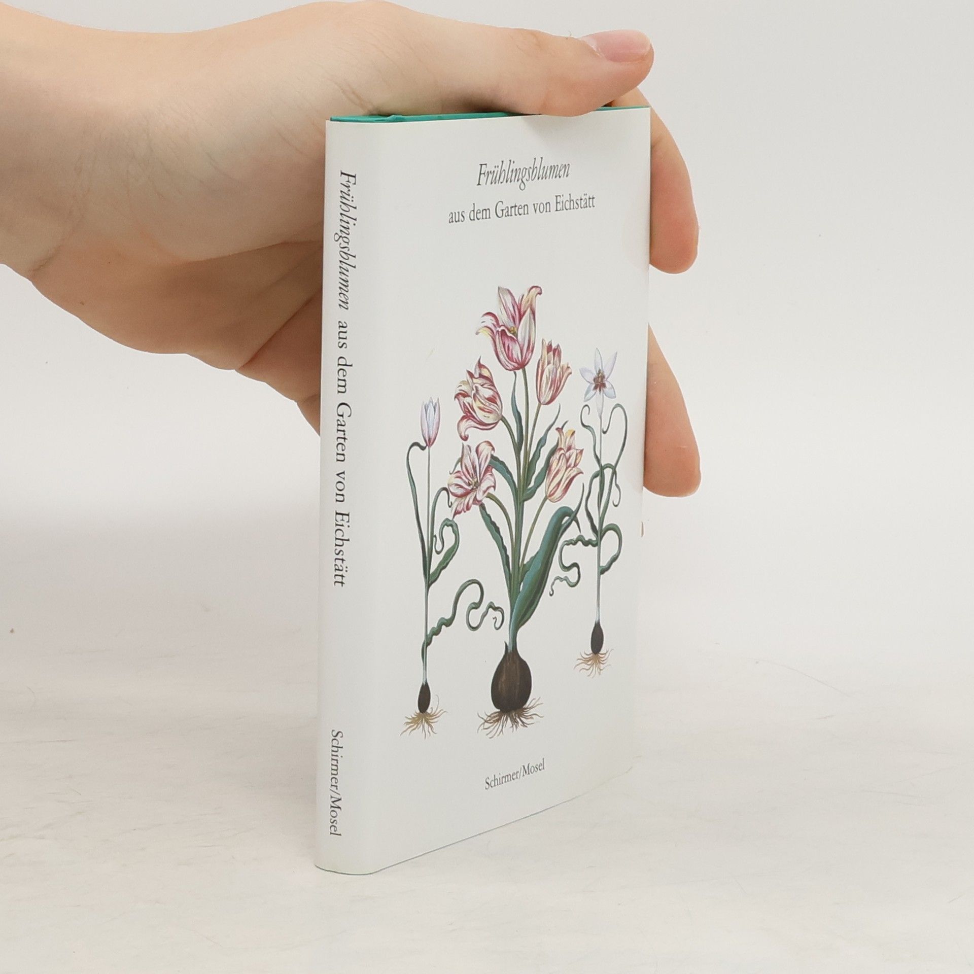 Autorenkollektiv Frühlingsblumen aus dem Garten von Eichstätt