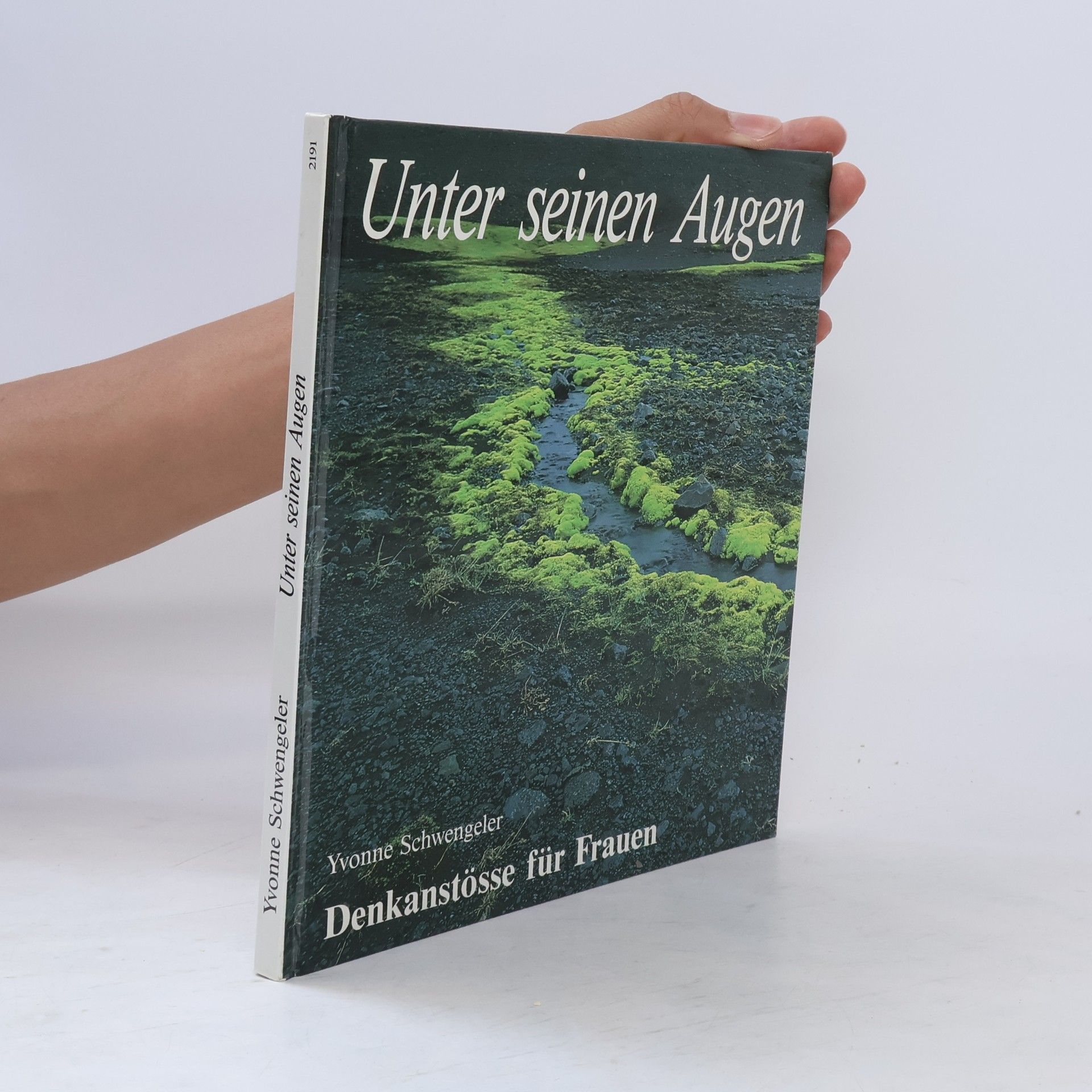 Yvonne Schwengeler Unter seinen Augen