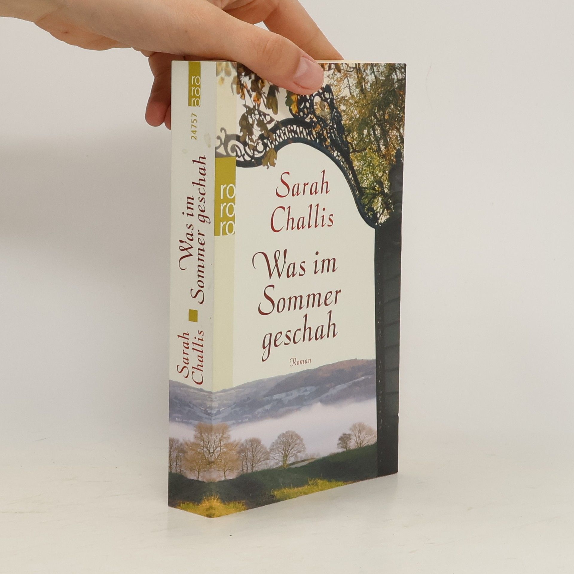 Sarah Challis Was im Sommer geschah