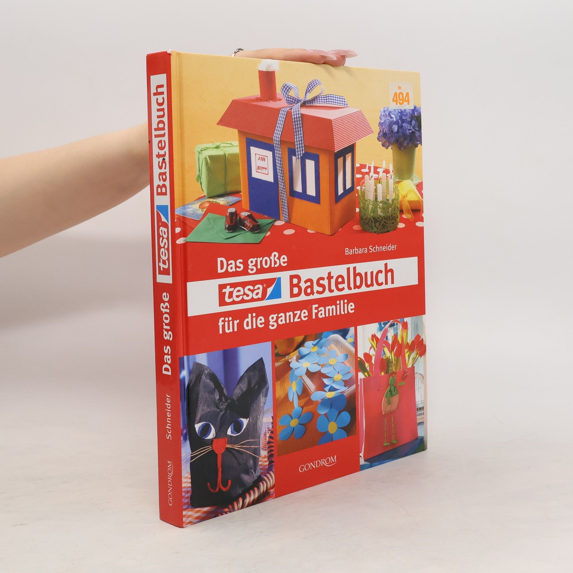 Barbara Schneider Das große Tesa-Bastelbuch für die ganze Familie