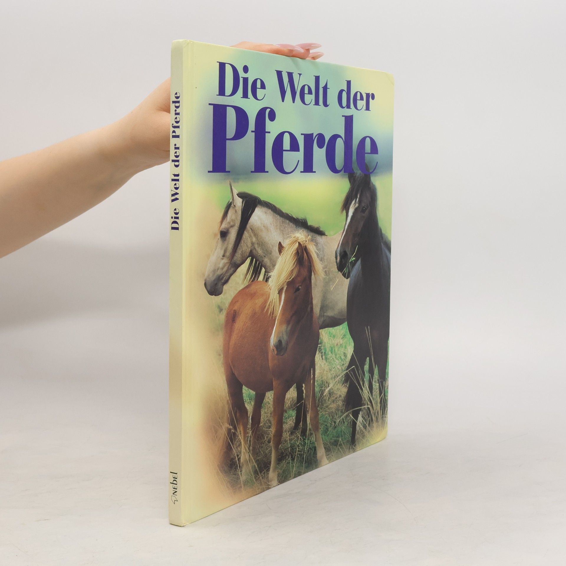 Autorenkollektiv Die Welt der Pferde