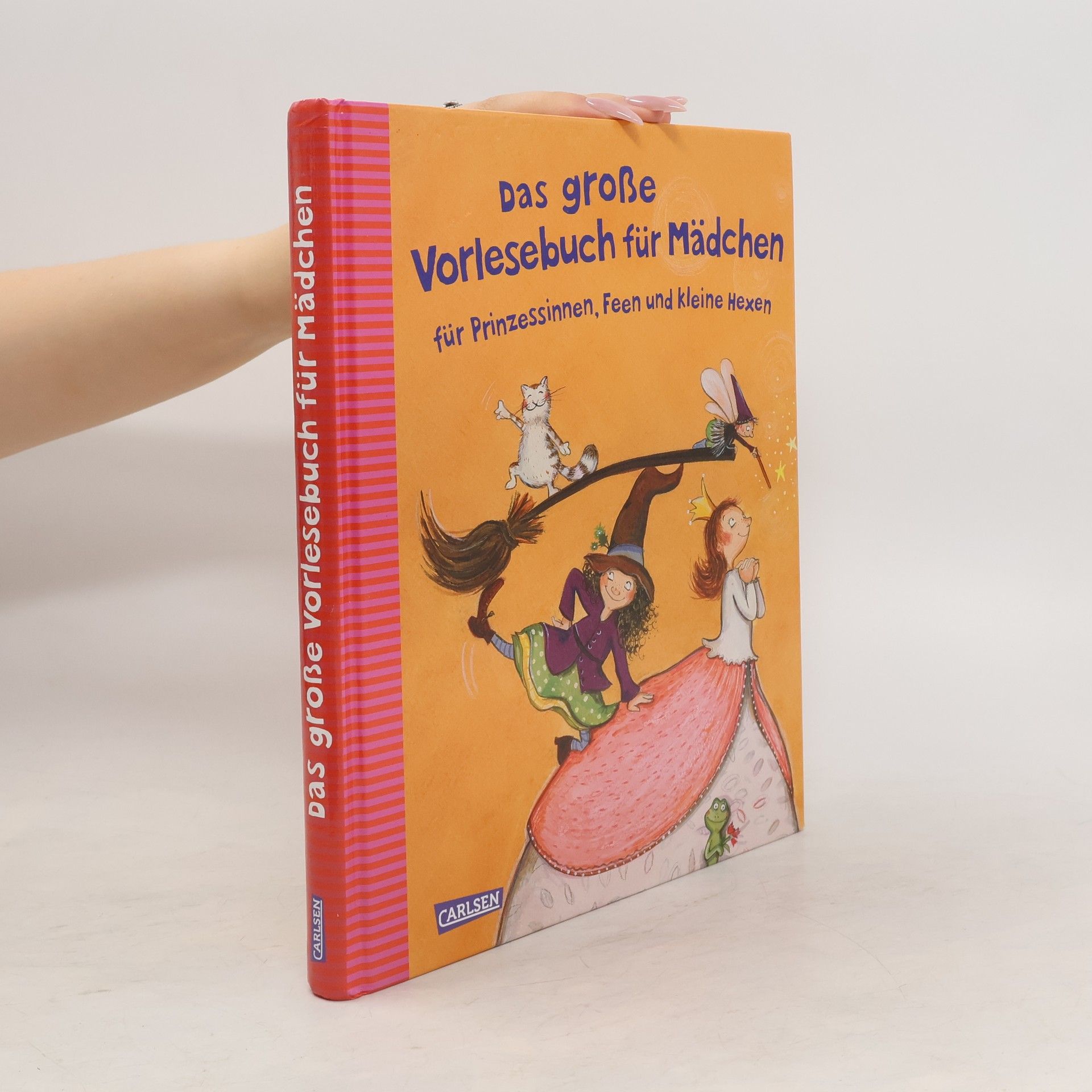 Collectif d'auteurs Das große Vorlesebuch für Mädchen
