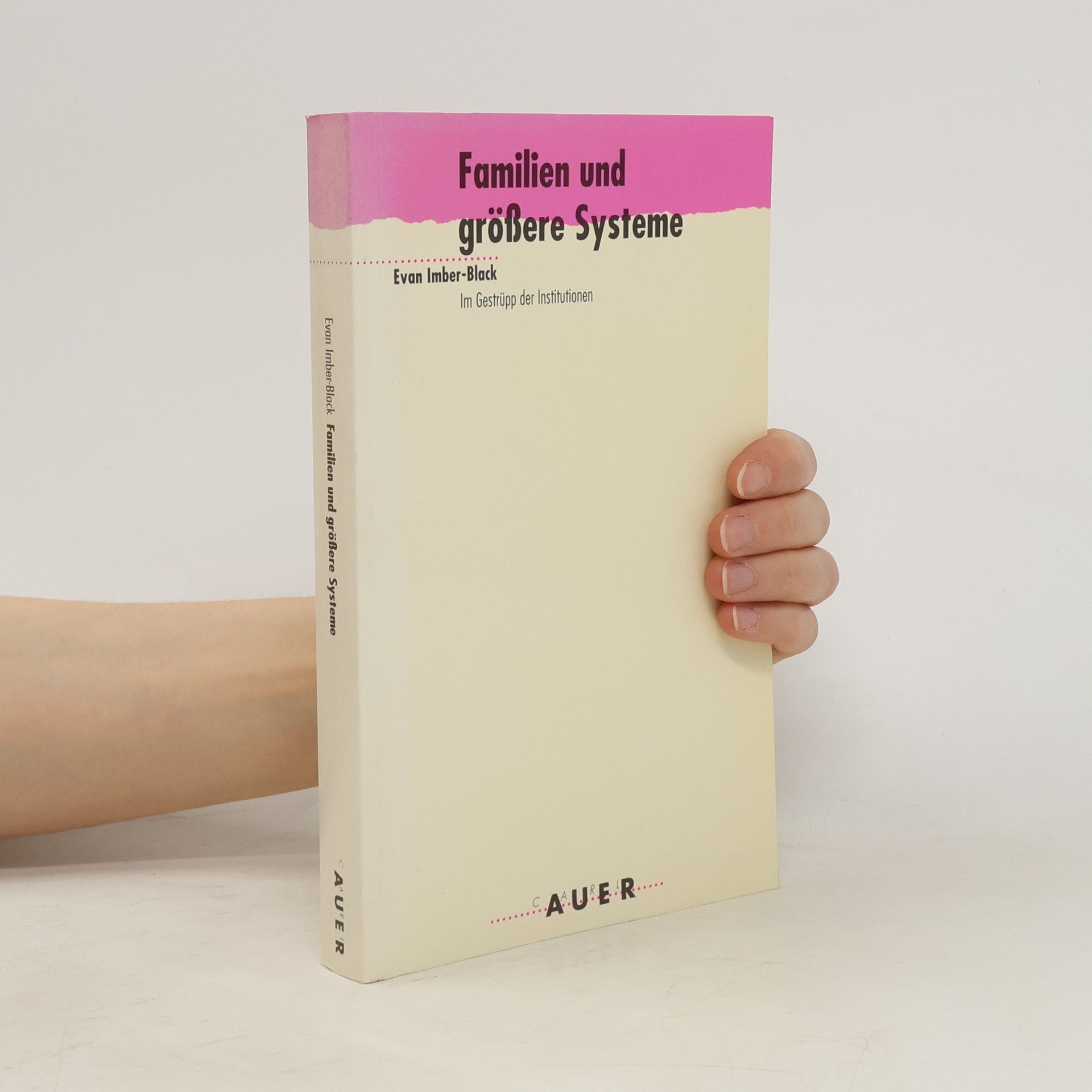 Evan Imber Black Familien und grössere Systeme