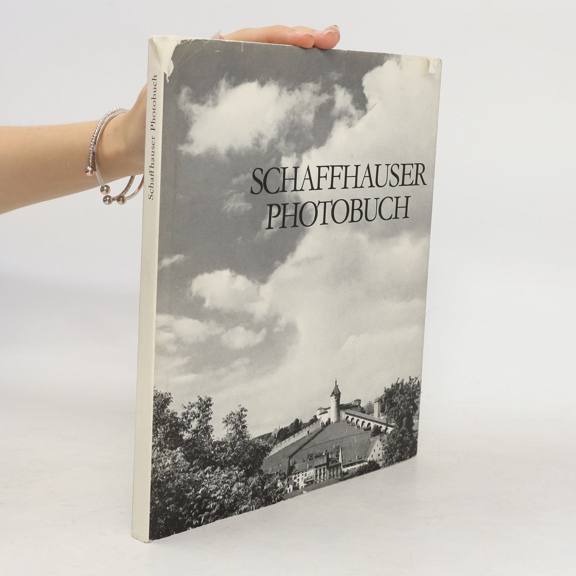 Collectif d'auteurs Schaffhauser Photobuch