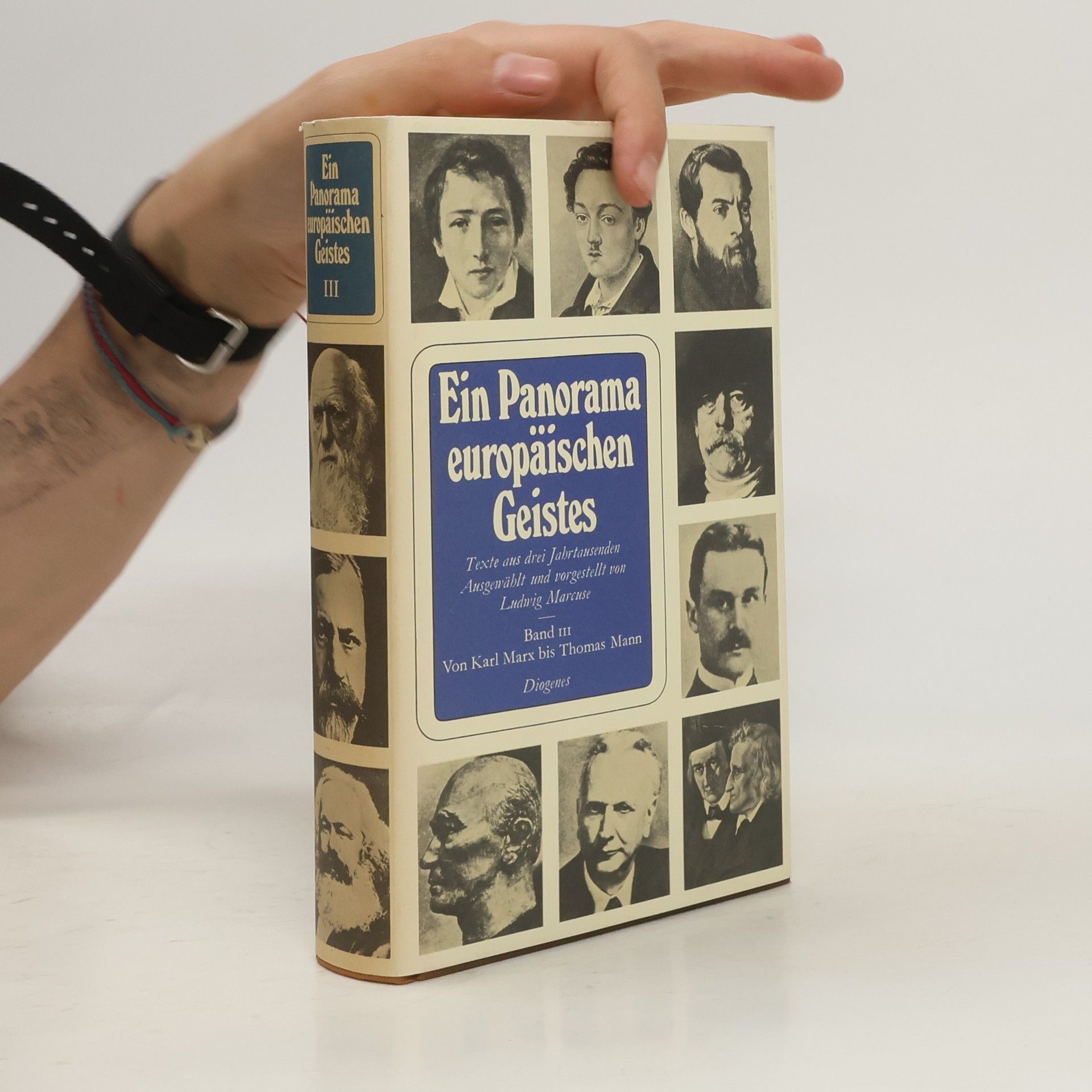 Collectif d'auteurs Ein Panorama europäischen Geistes