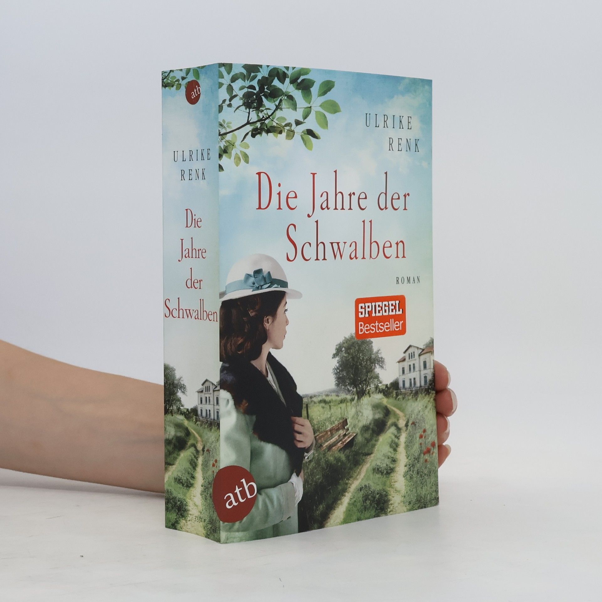 Ulrike Renk Die Jahre der Schwalben