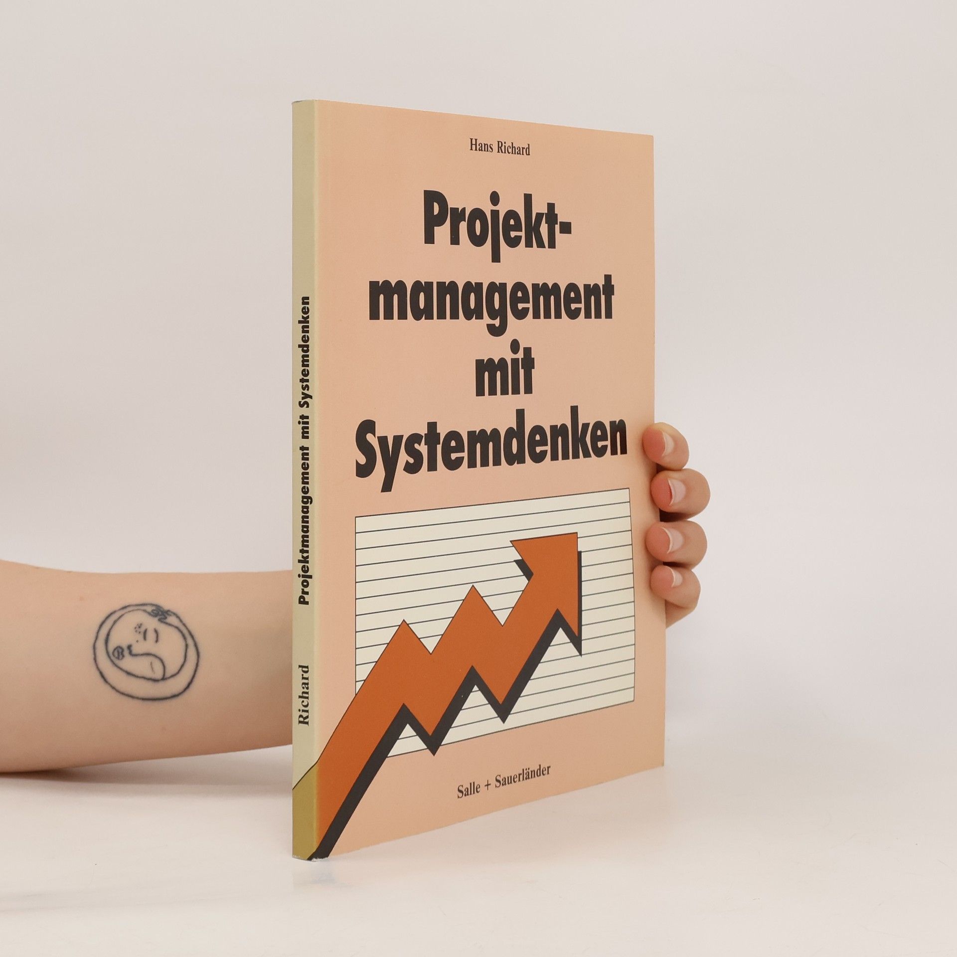 Hans Richard Projektmanagement mit Systemdenken