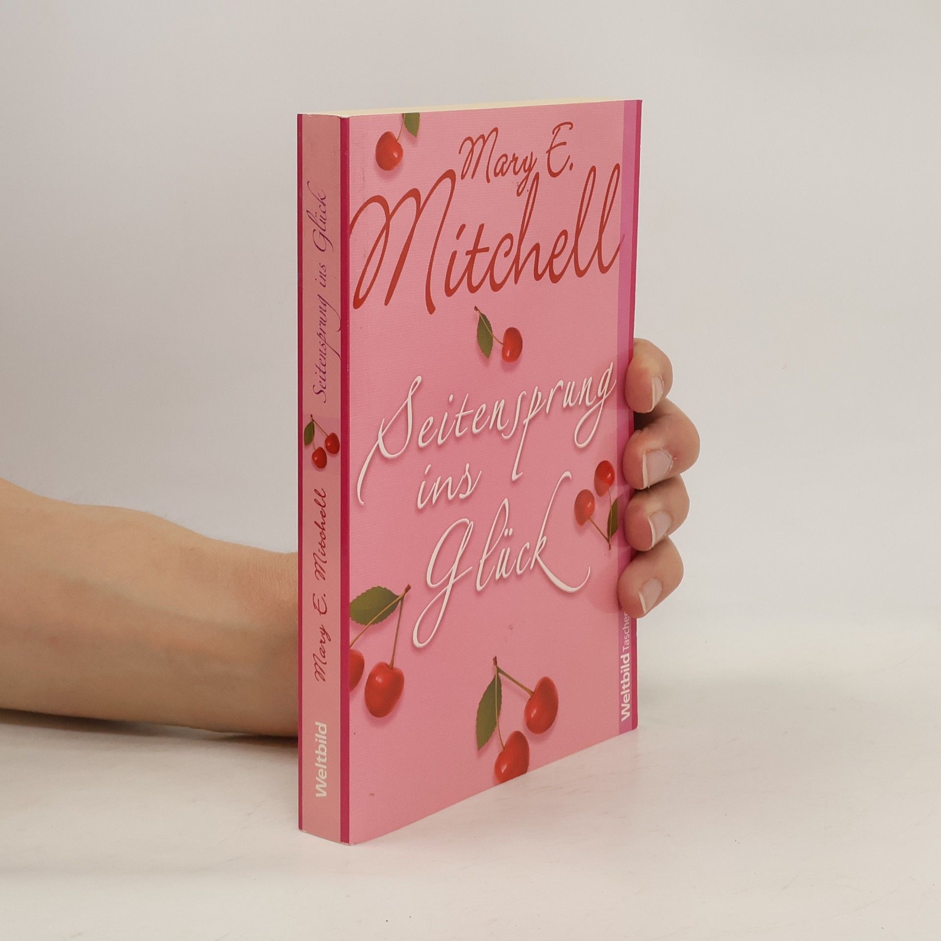 Mary E. Mitchell Seitensprung ins Glück