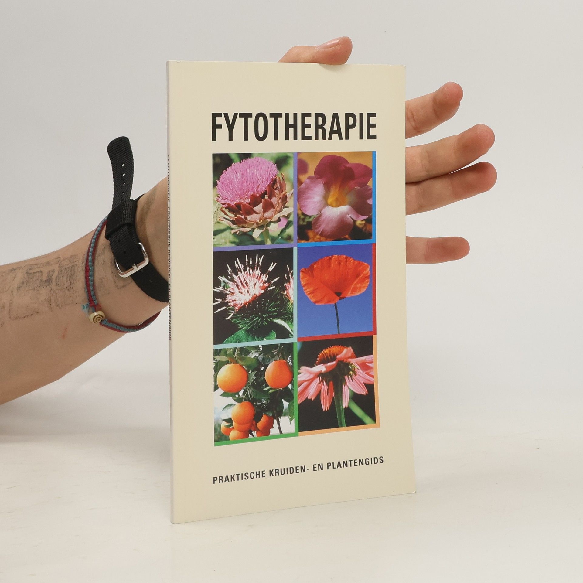 Collective Fytotherapie. Praktische Kruiden- en Plantengids