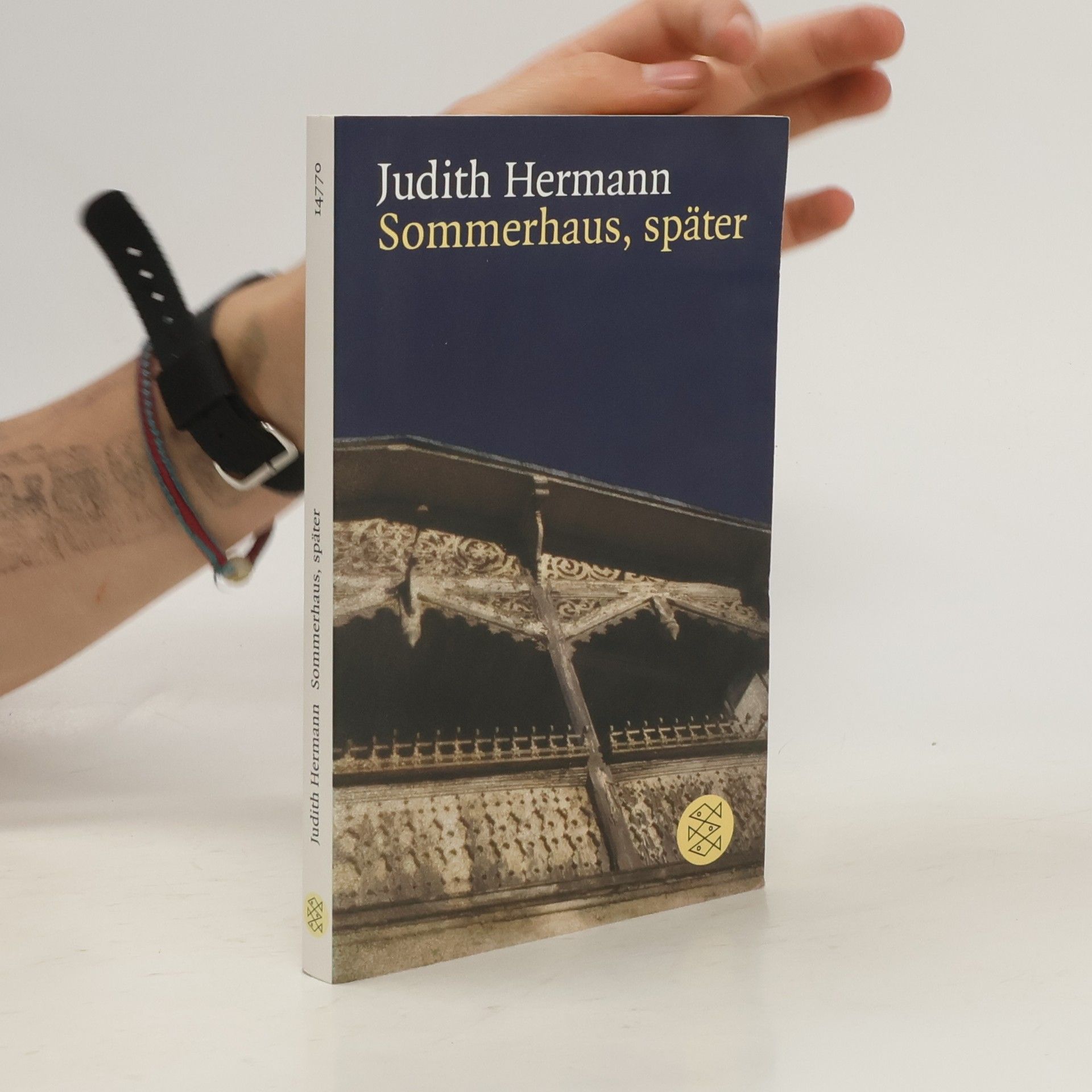 Judith Hermann Sommerhaus, später : Erzählungen