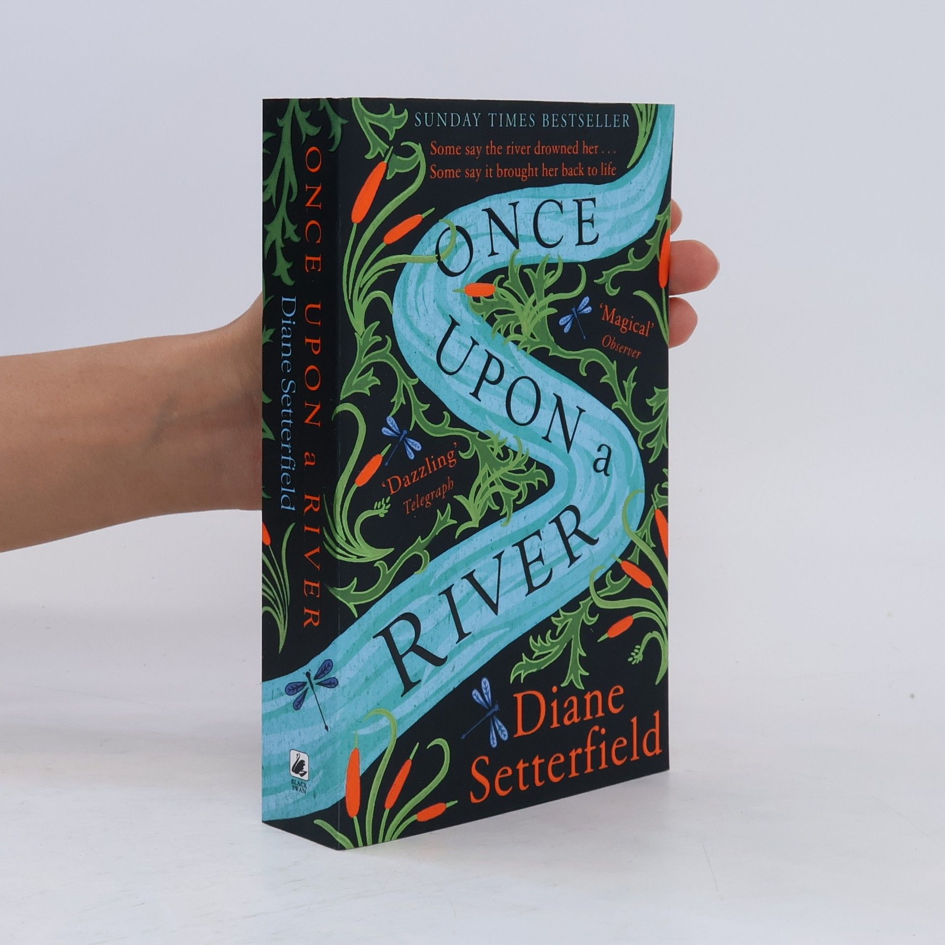 Diane Setterfield Once upon a River