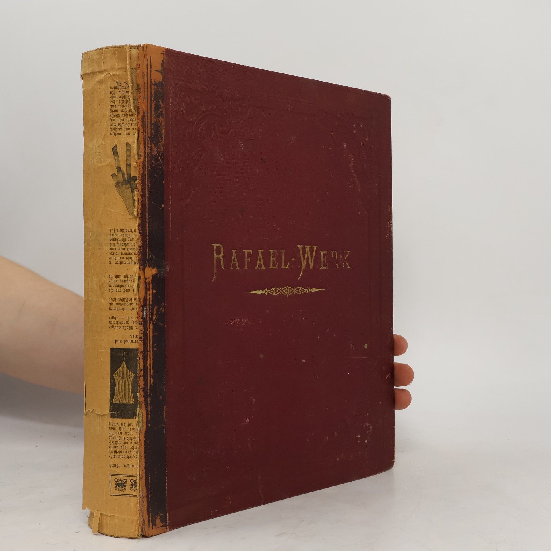 Adolf Gutbier Rafael-Werk. Sämtliche Tafelbilder und Fresken des Meisters in Nachbildungen nach Kupferstichen und Photographien
