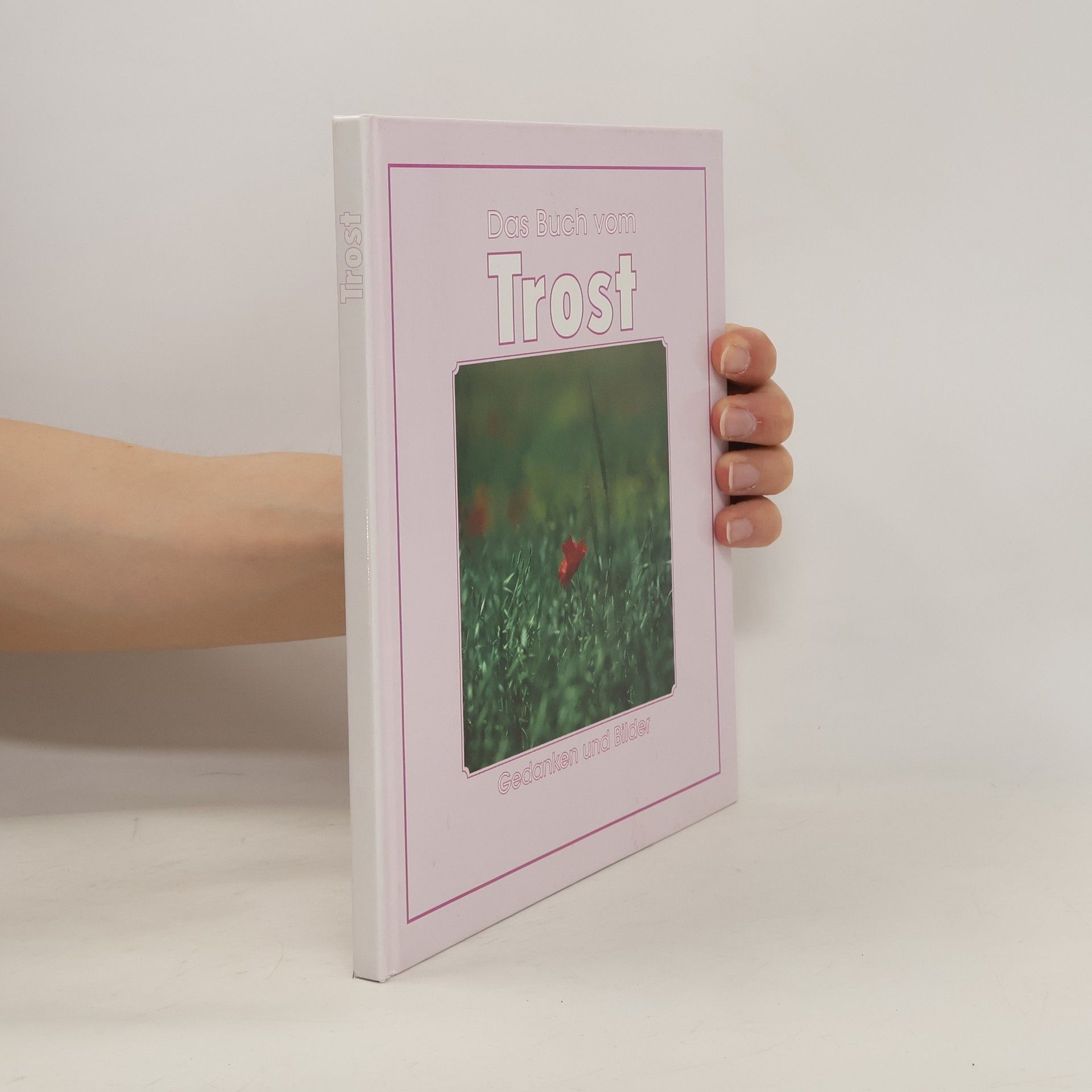 Kurt Bauer Das Buch vom Trost