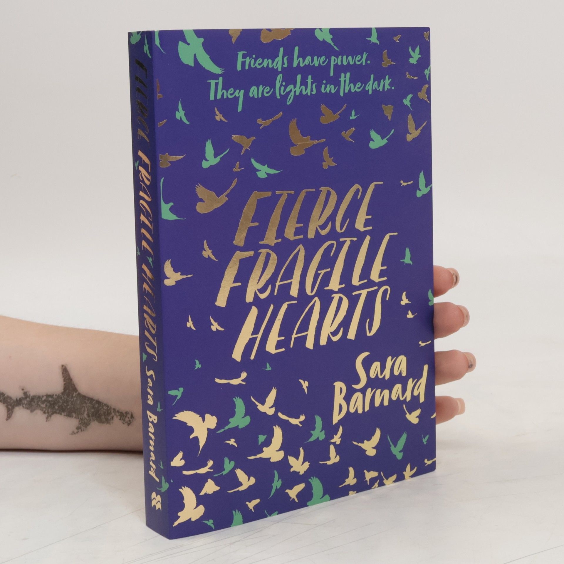 Sara Barnard Fierce Fragile Hearts