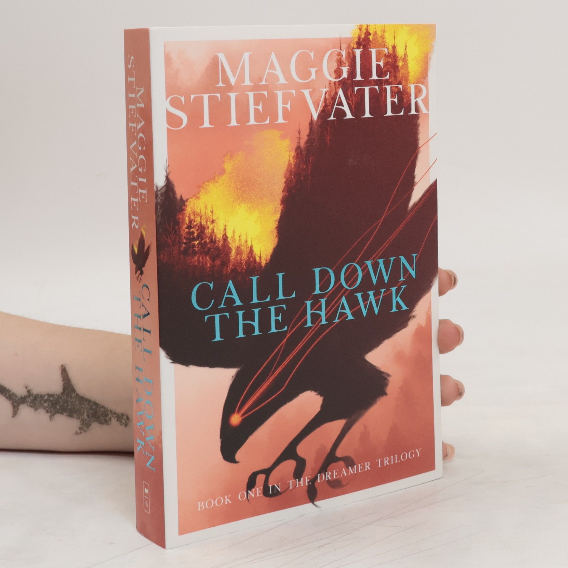 Maggie Stiefvater Call Down the Hawk