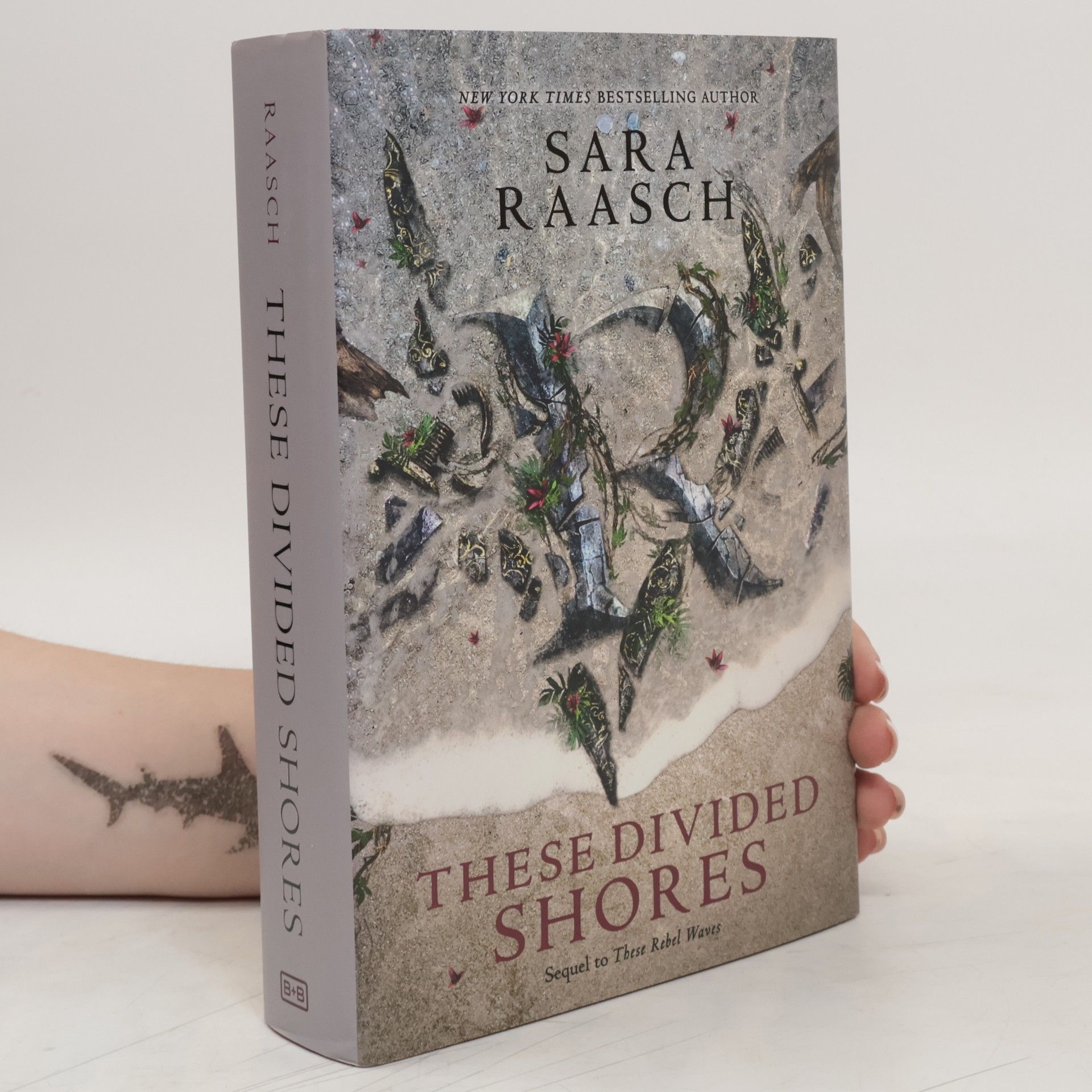 Sara Raash These Divided Shores