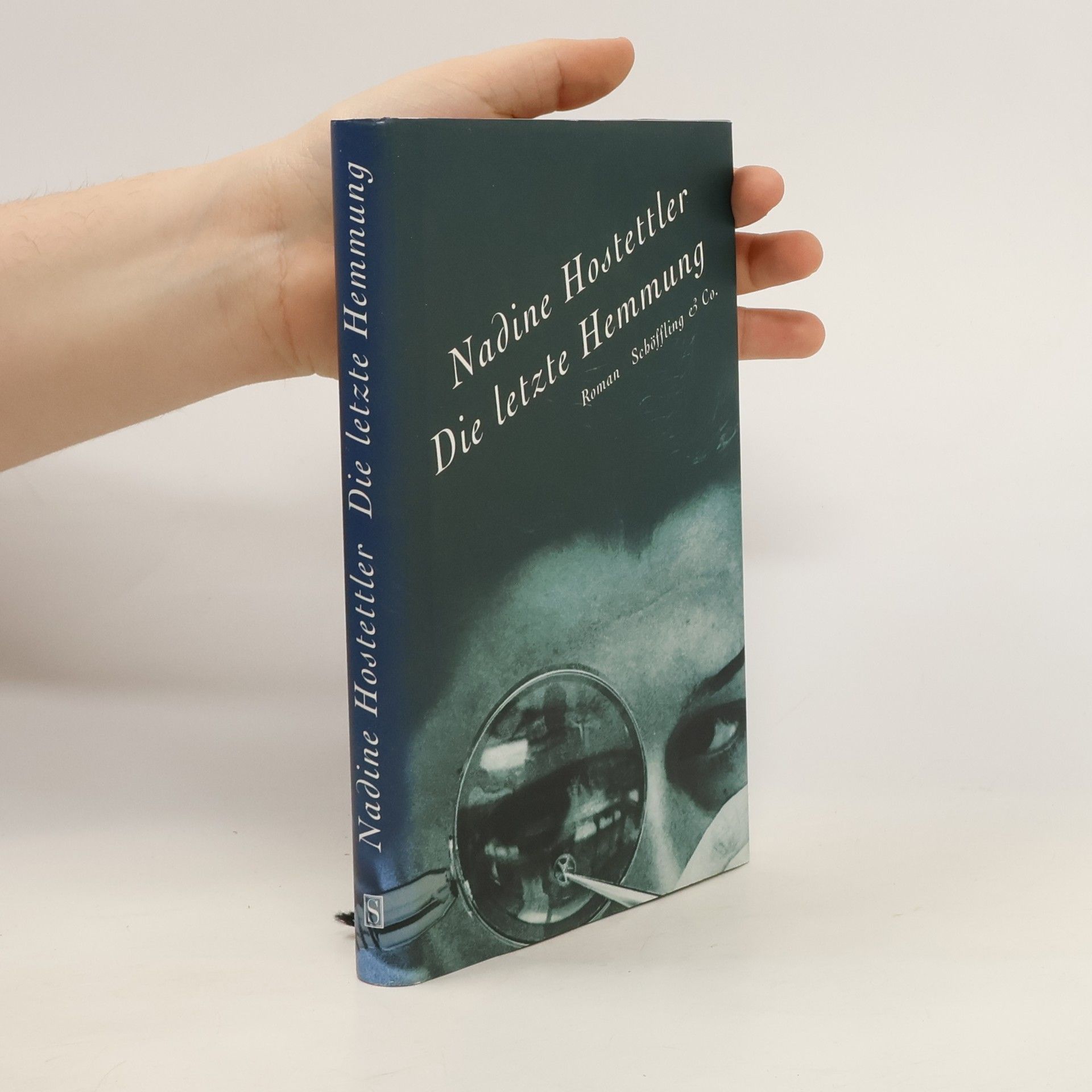 Nadine Hostettler Die letzte Hemmung