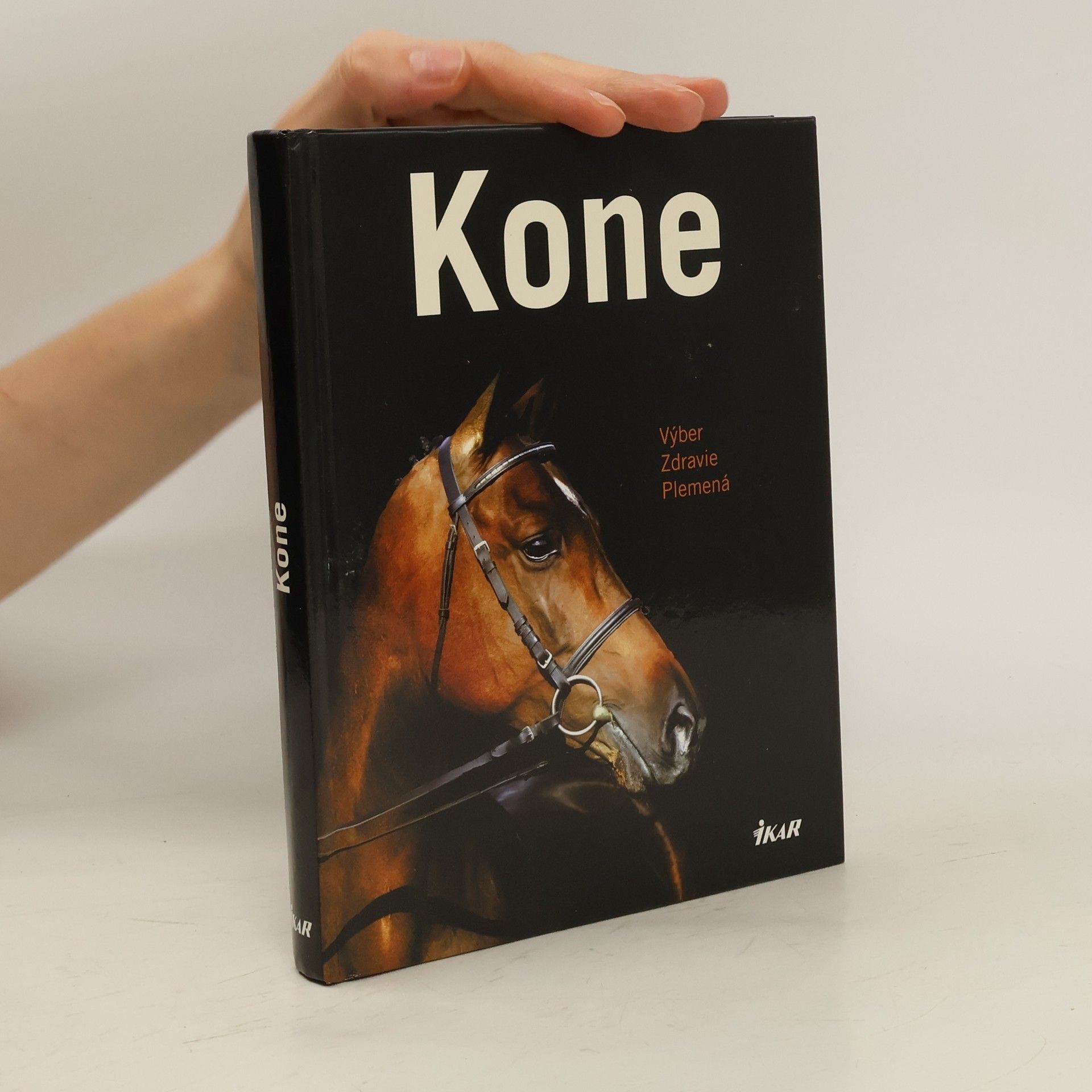 Saskia Brixner Kone