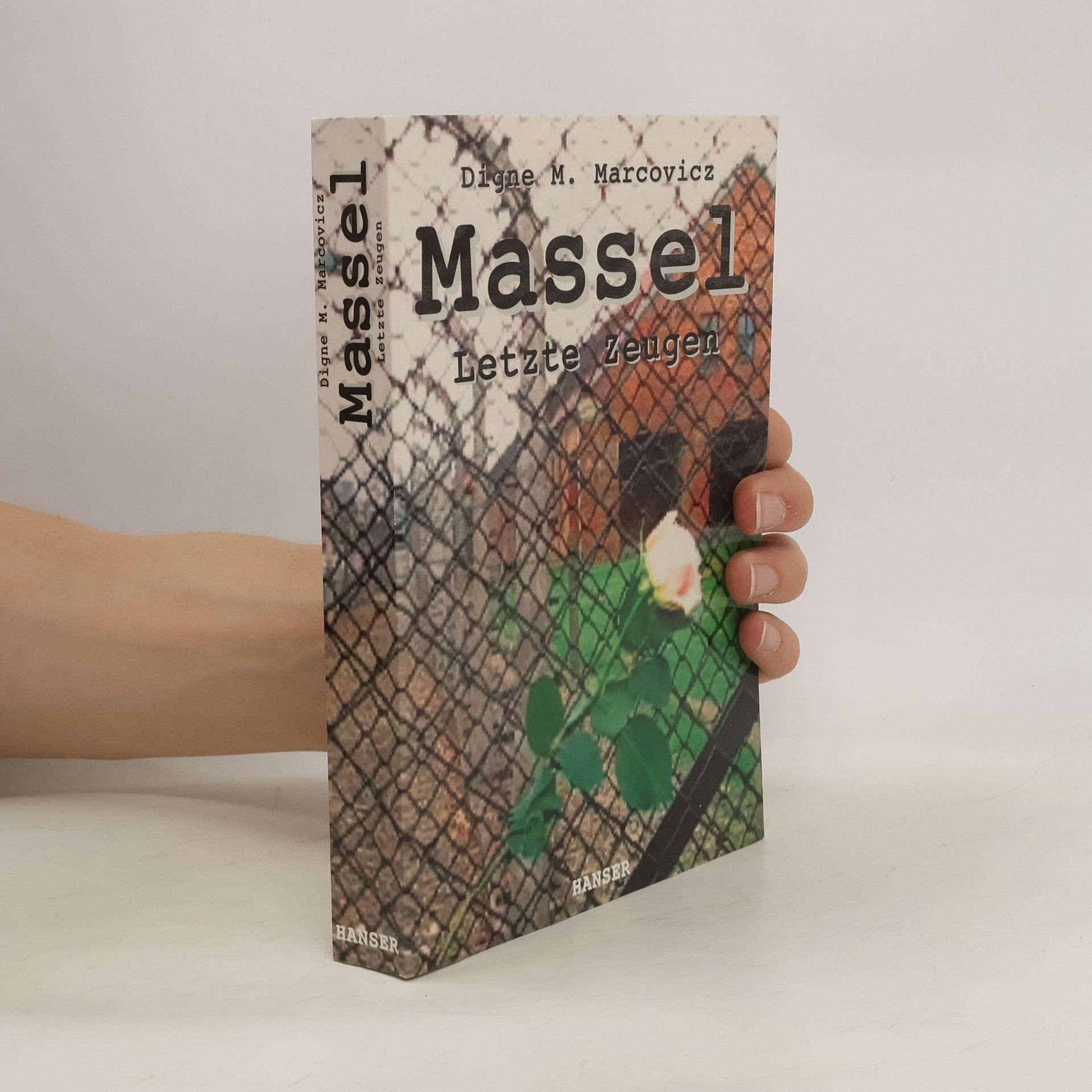 Digne Meller Marcovicz Massel