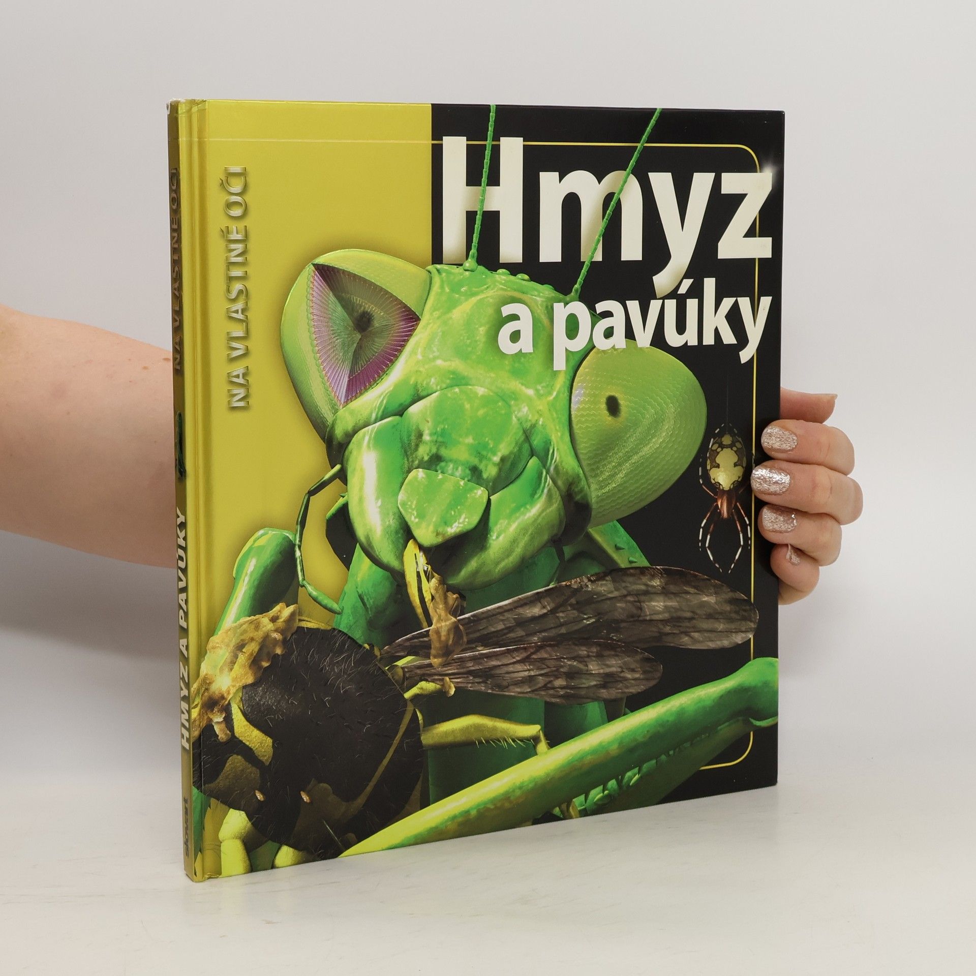 Autorenkollektiv Hmyz a pavúky