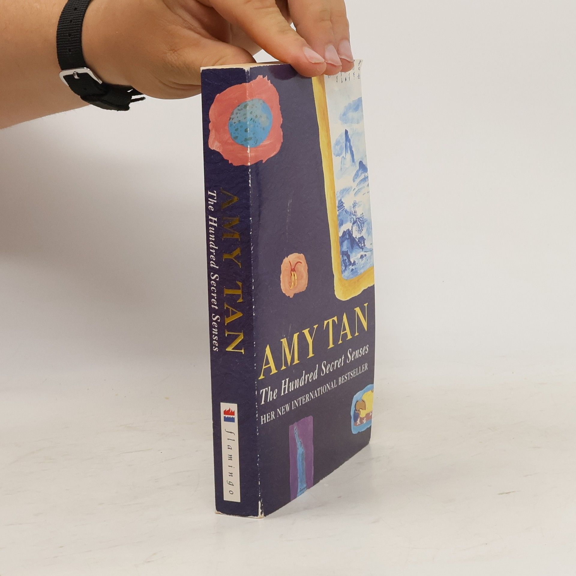 Amy Tan The Hundred Secret Senses