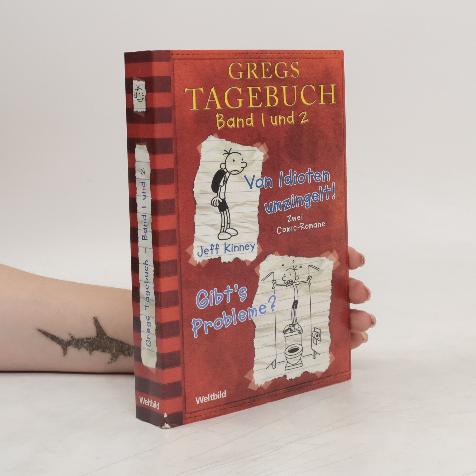Jeff Kinney Gregs Tagebuch Band 1 und 2