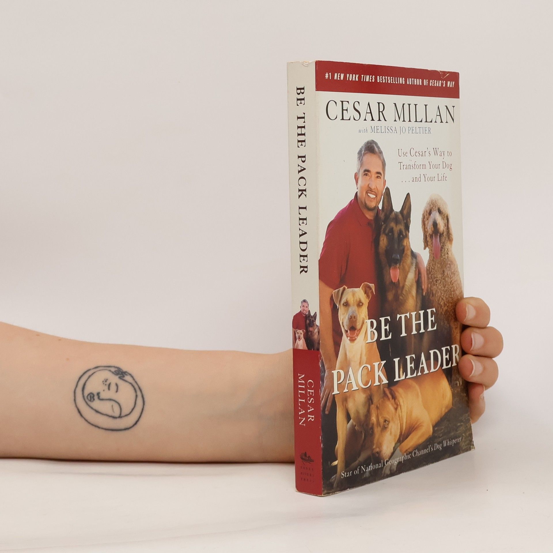 Cesar Millan Be the pack leader