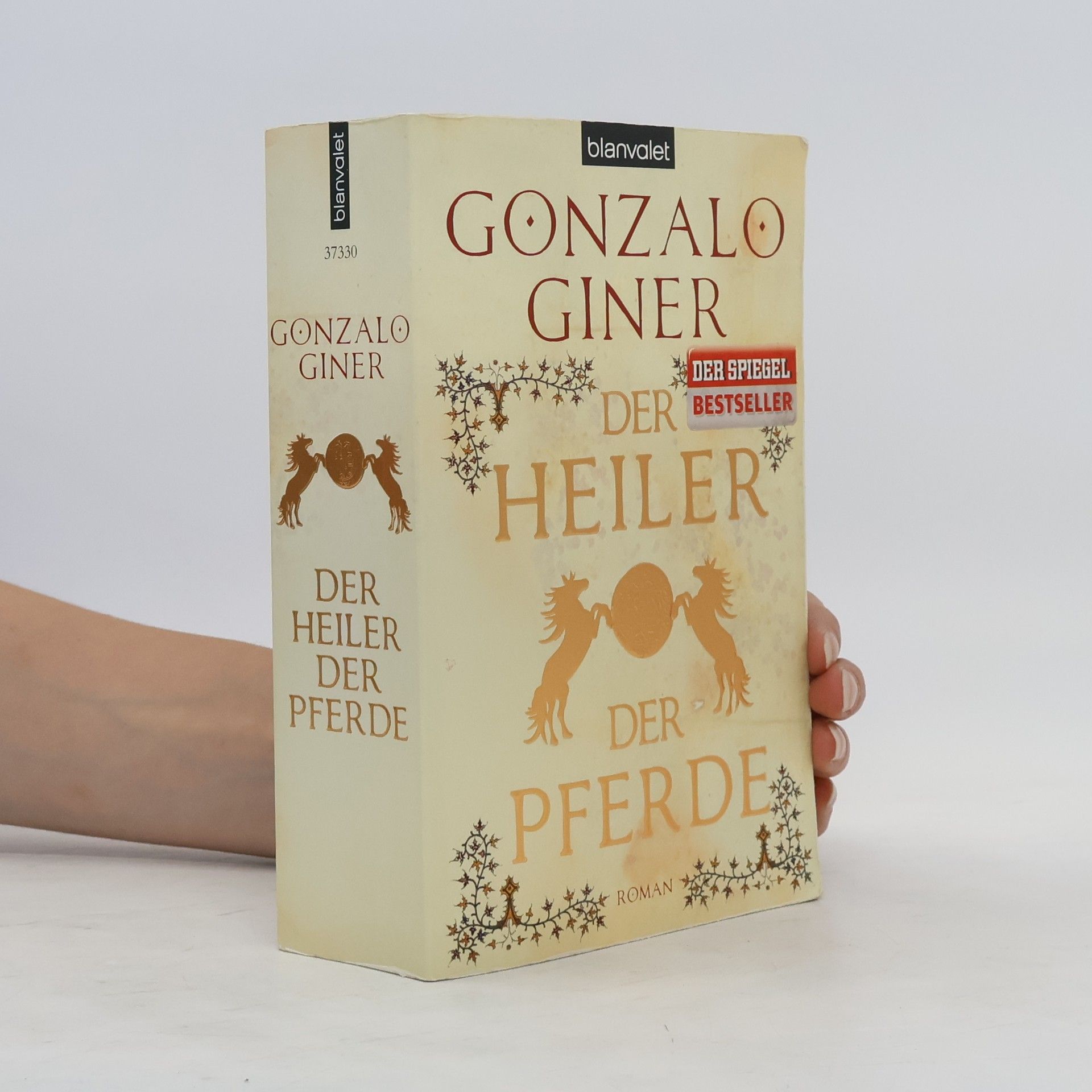 Gonzalo Giner Der Heiler der Pferde