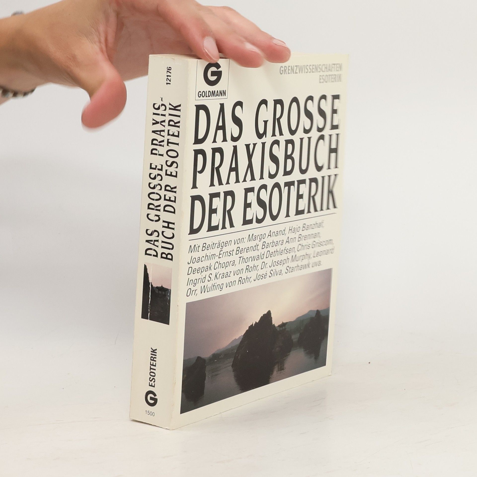 Diane von Weltzien Das grosse Praxisbuch der Esoterik