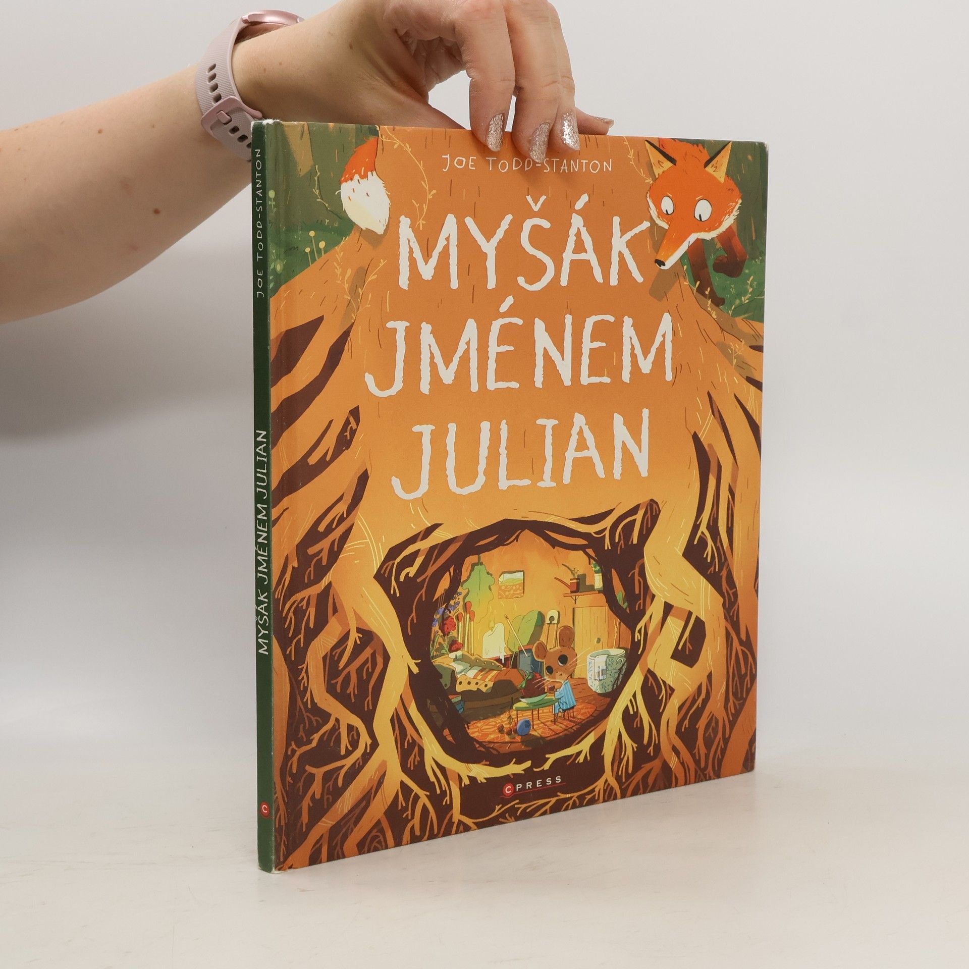 Joe Todd-Stanton Myšák jménem Julian