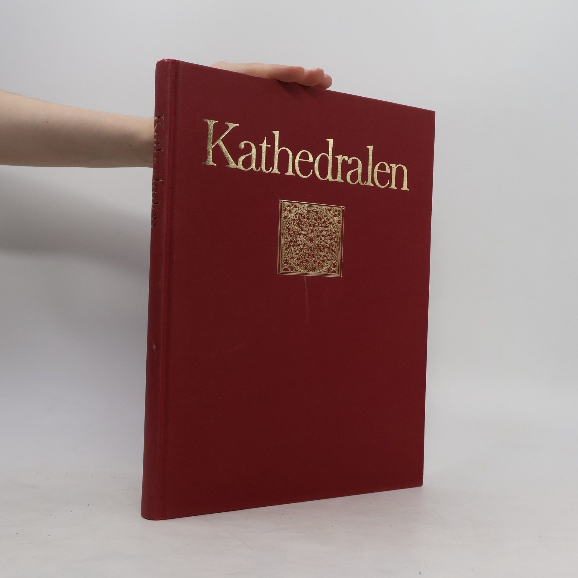 Autorenkollektiv Kathedralen
