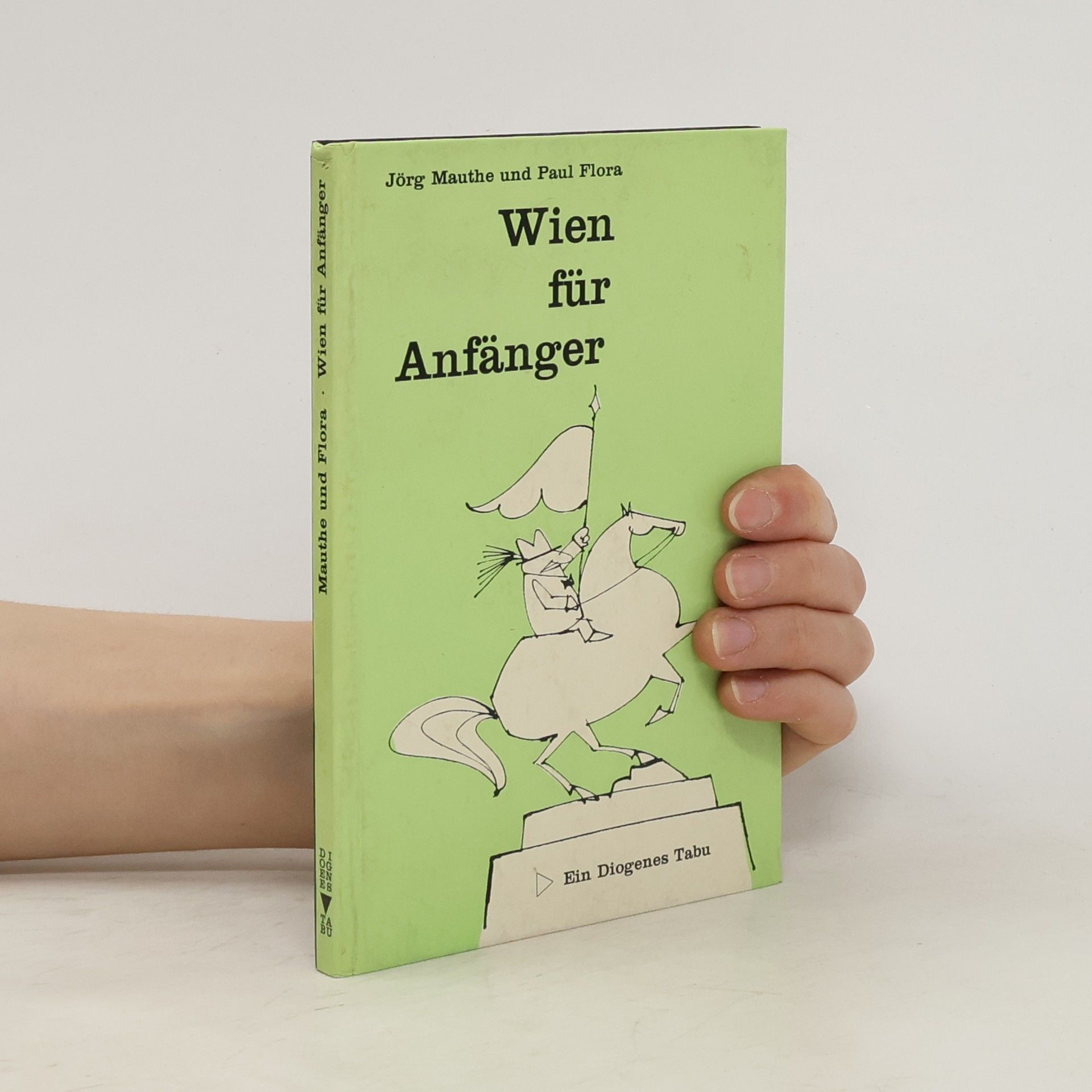 Jörg Mauthe Wien für Anfänger