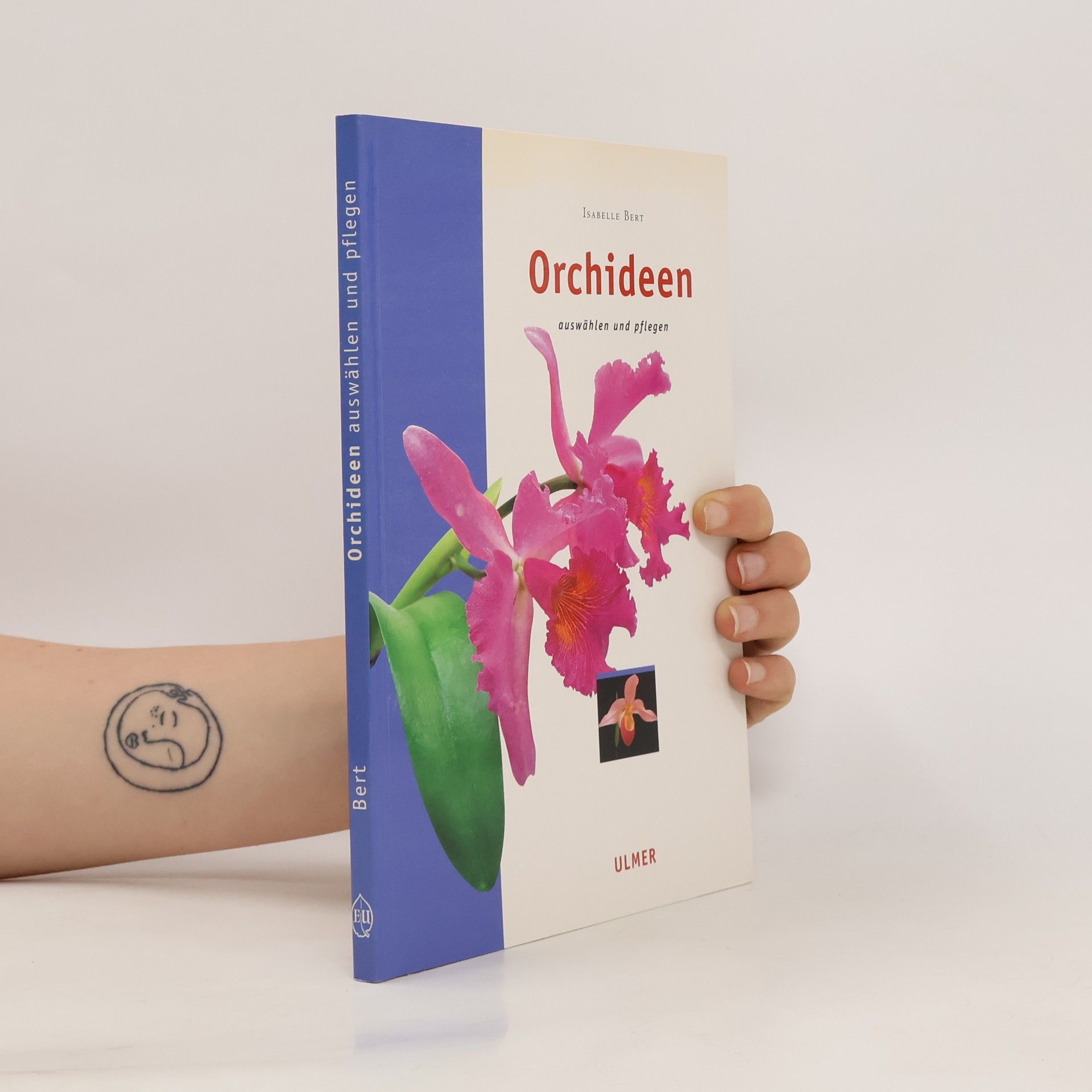 Isabelle Bertrand Orchideen