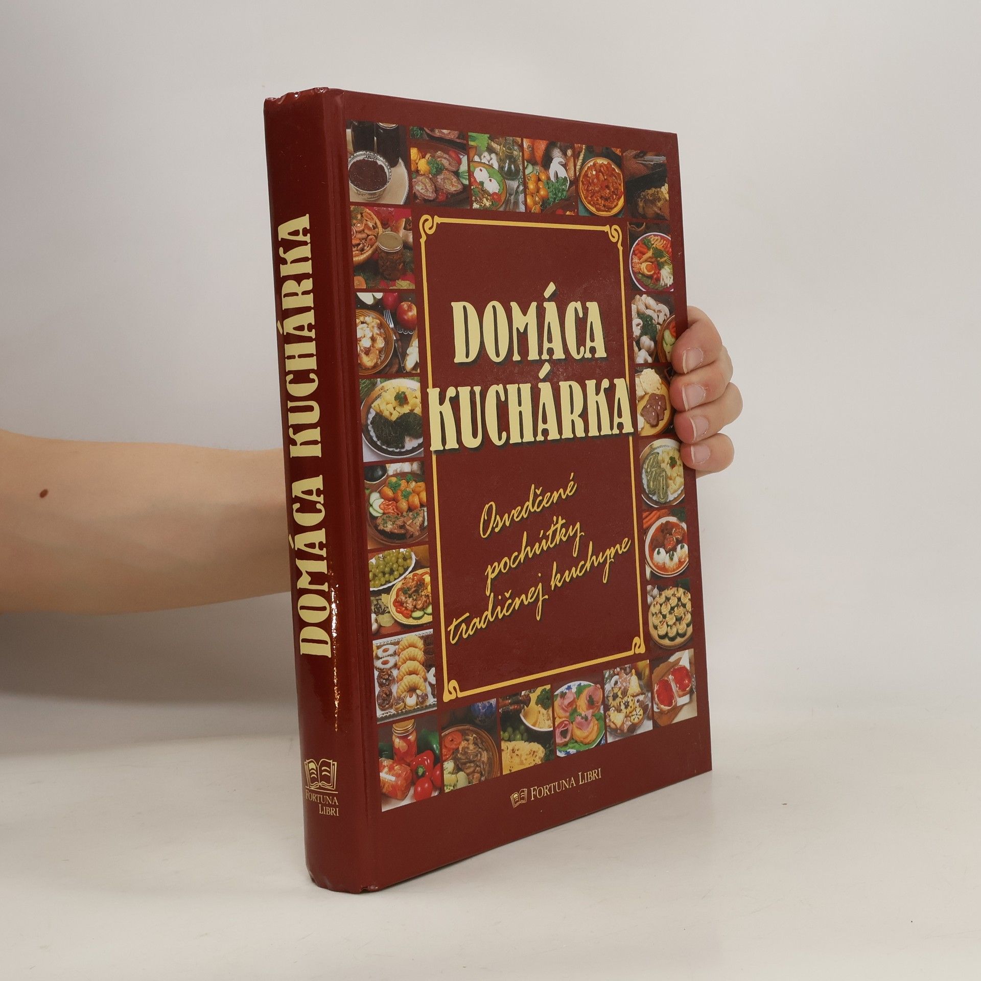 Alena Doležalová Domáca kuchárka : osvedčené pochúťky tradičnej kuchyne