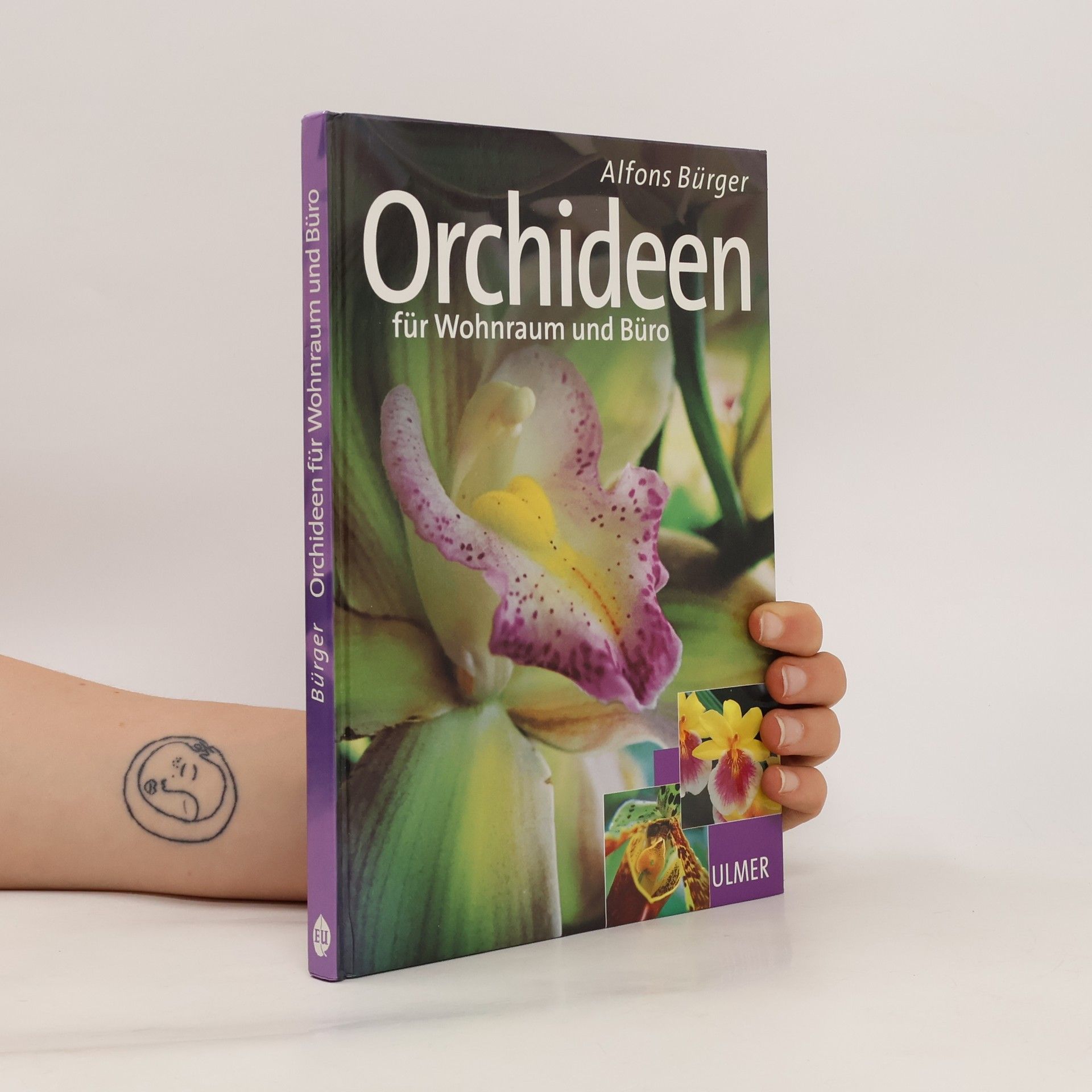 Alfons Burger Orchideen für Wohnraum und Büro