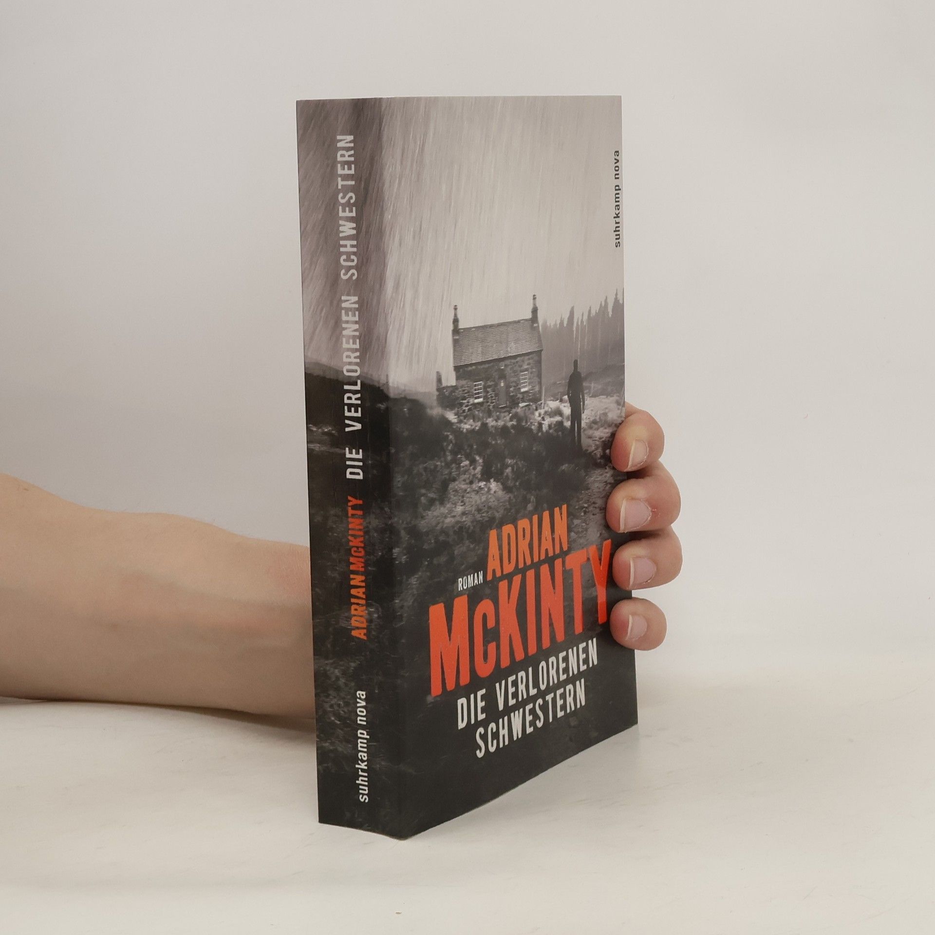 Adrian McKinty Die verlorenen Schwestern