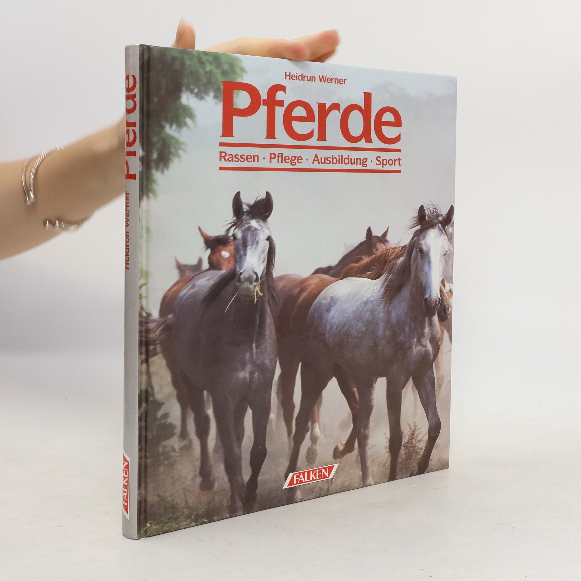 Heidrun Werner Pferde