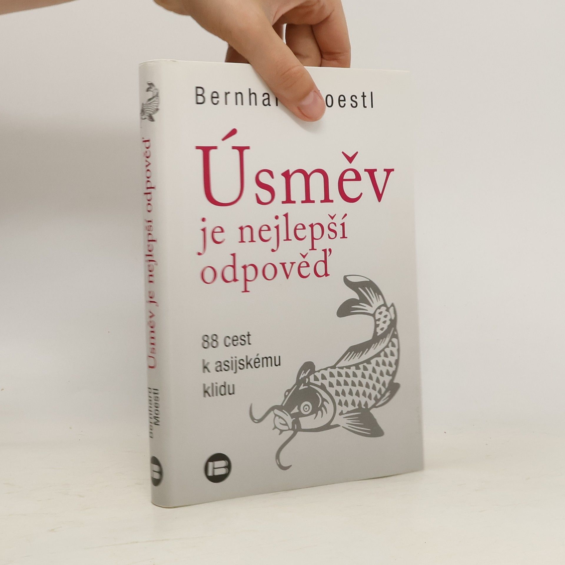 Bernhard Moestl Úsměv je nejlepší odpověď : 88 cest k asijskému klidu