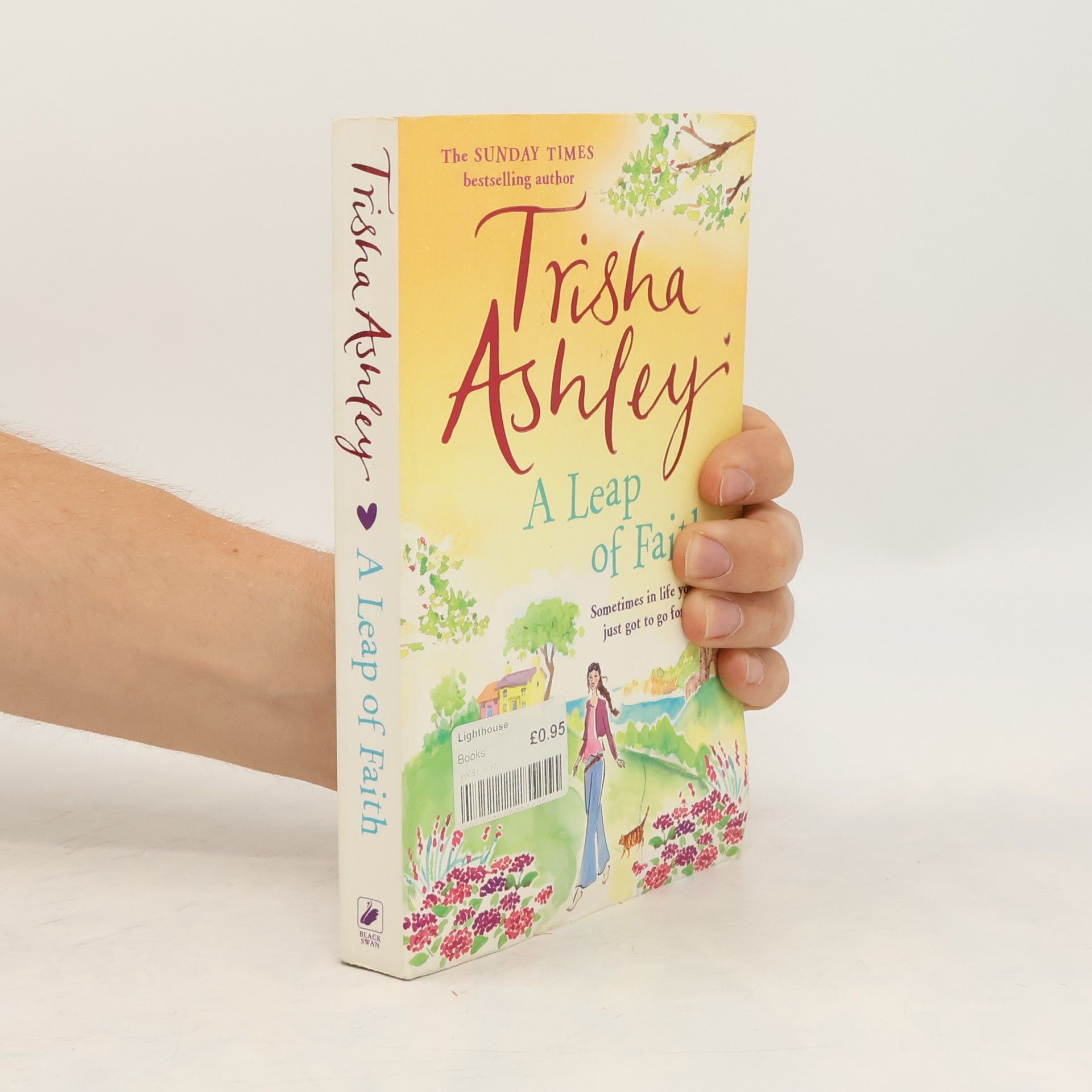 Trisha Ashley A Leap of Faith
