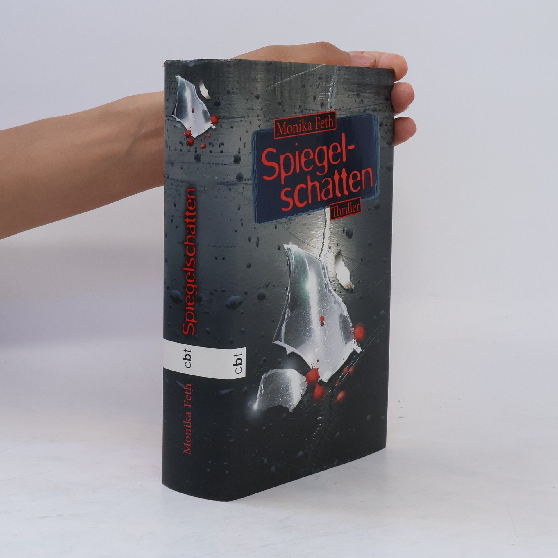 Monika Feth Spiegelschatten